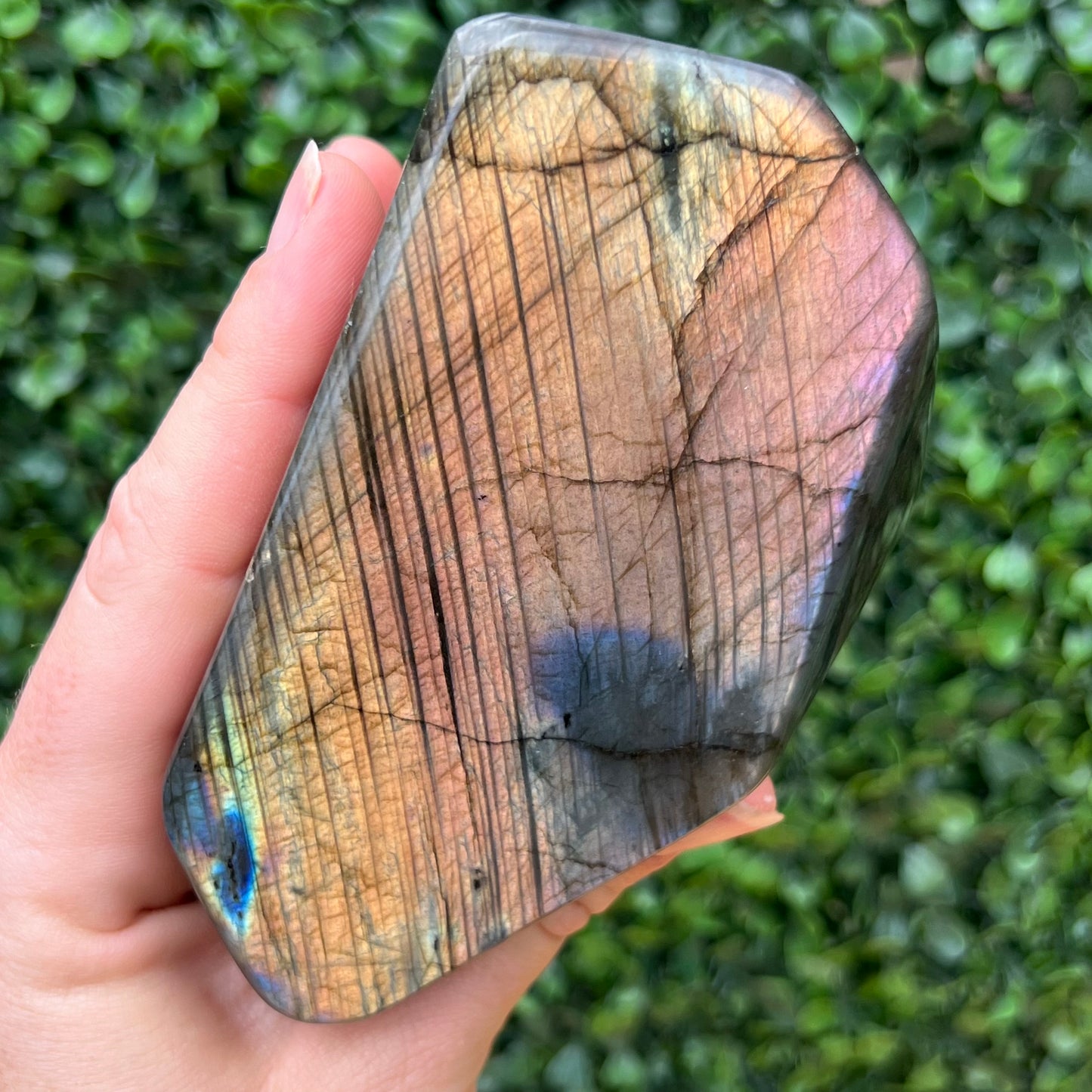 Labradorite Free Form