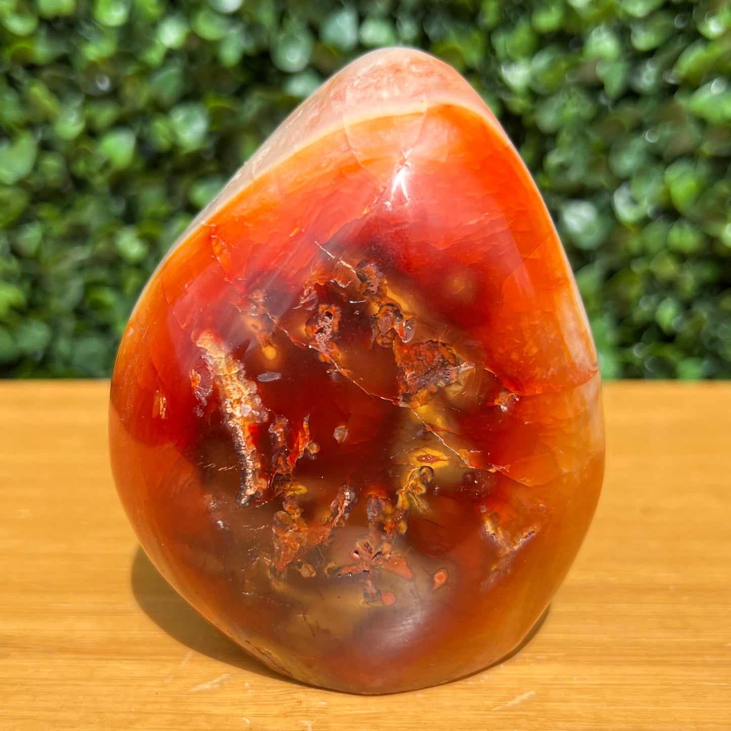 Carnelian Free Form