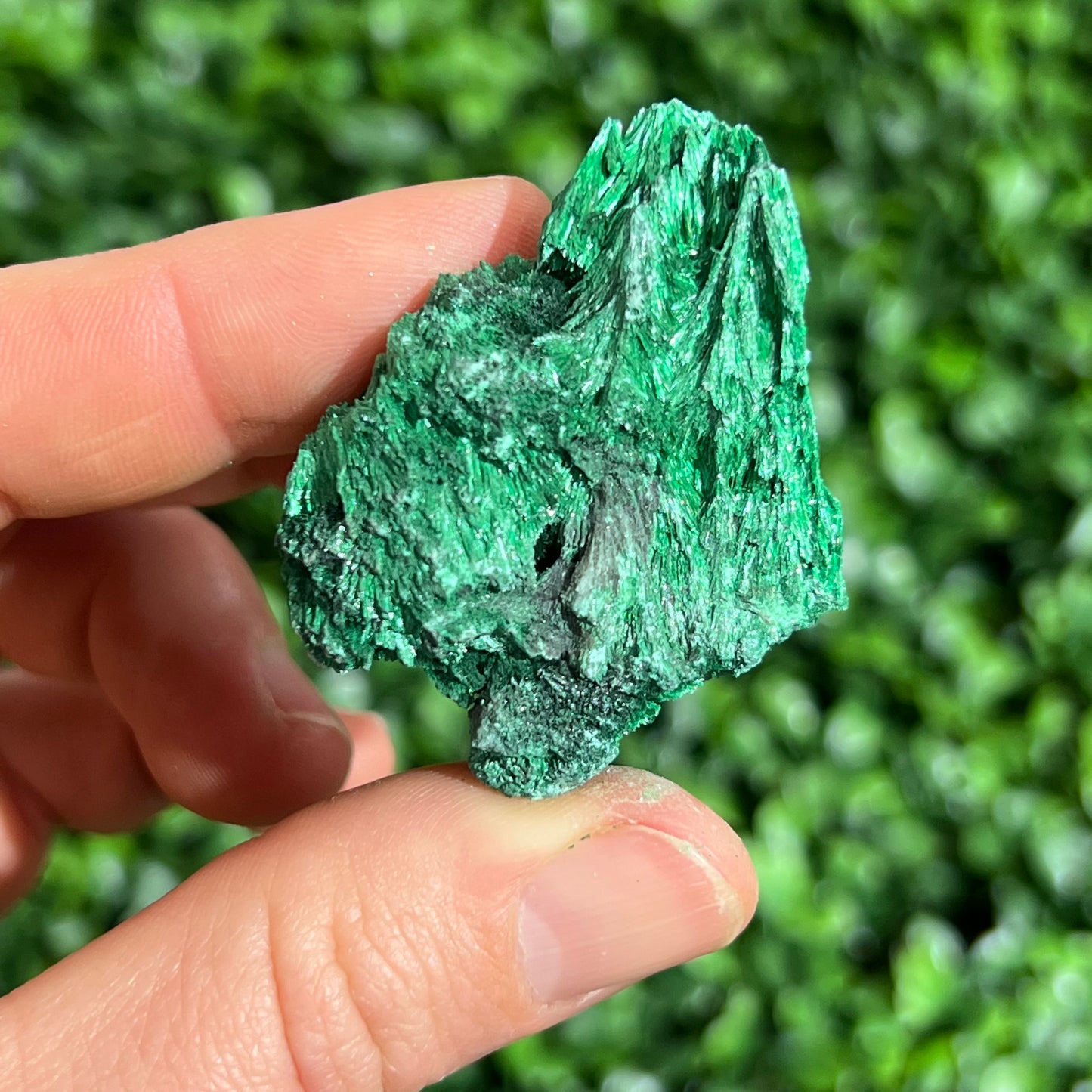 Fibrous Malachite Specimen