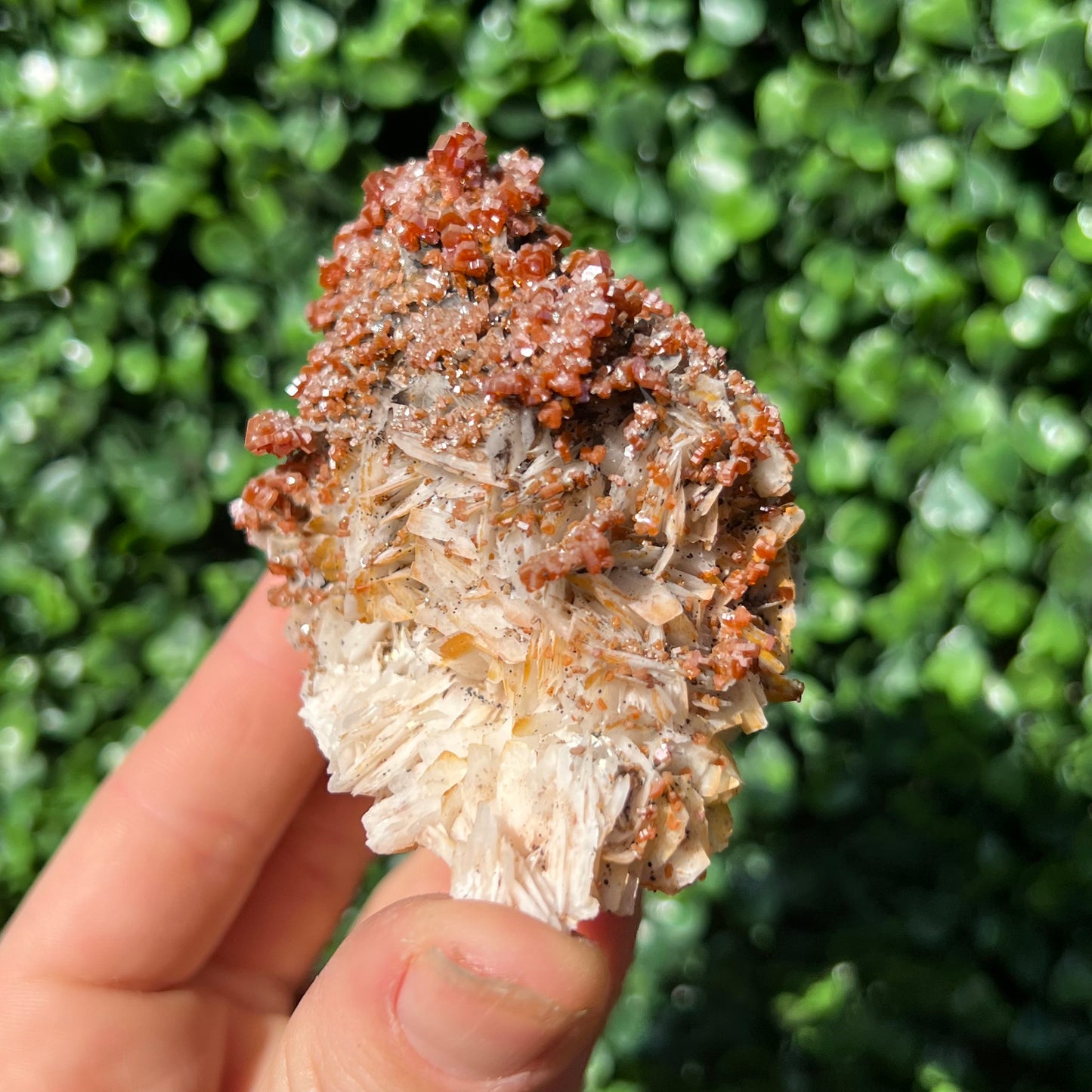 Vanadinite Specimen