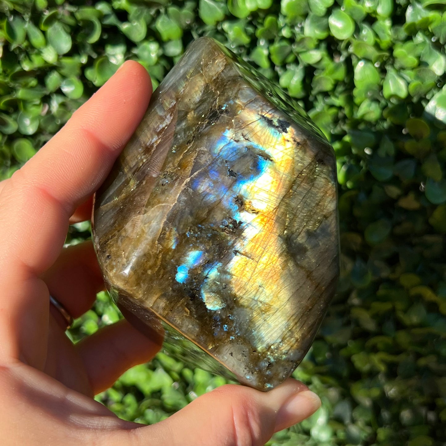 Labradorite Free Form
