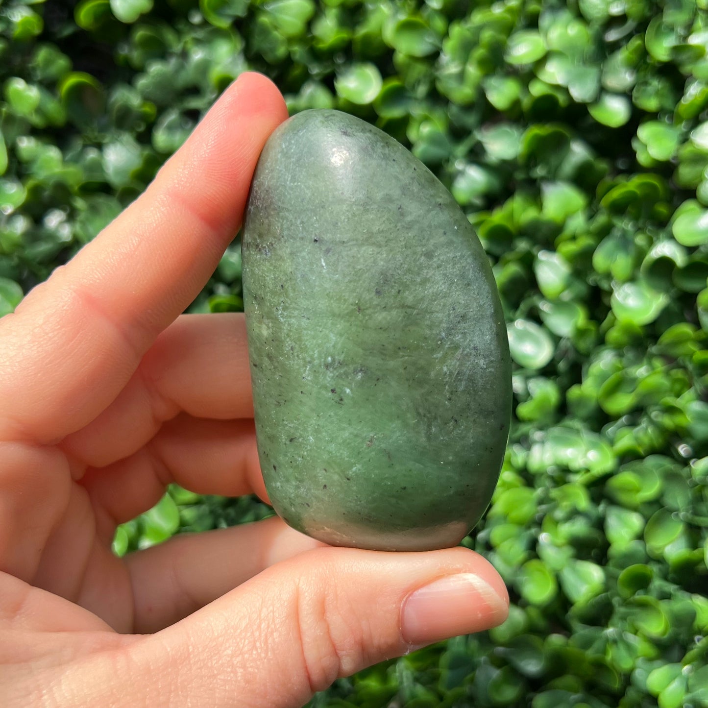 Jade Palm Stone