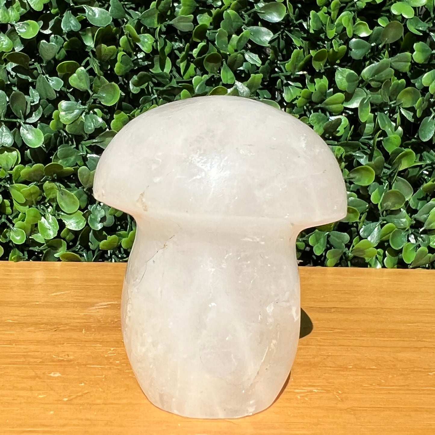 Snow Quartz Mushroom