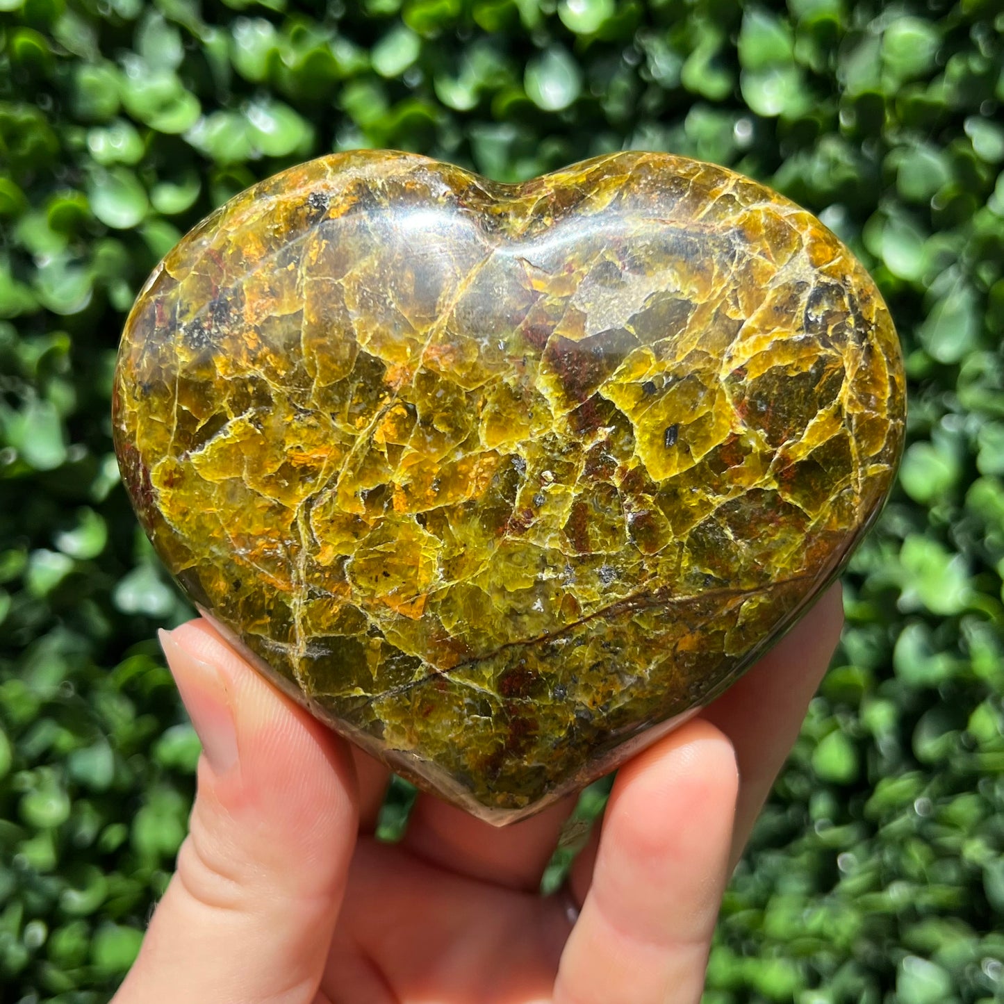 Kiwi Opal Heart