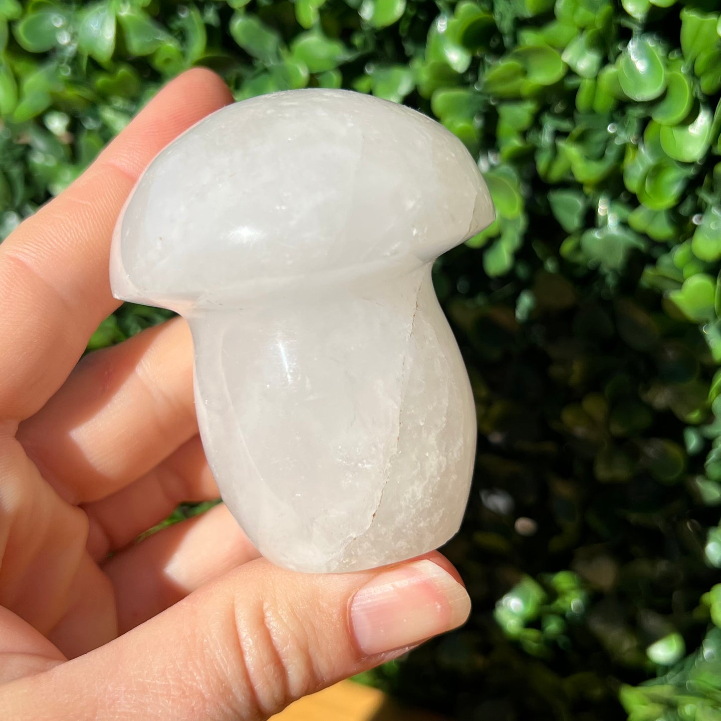 Snow Quartz Mushroom