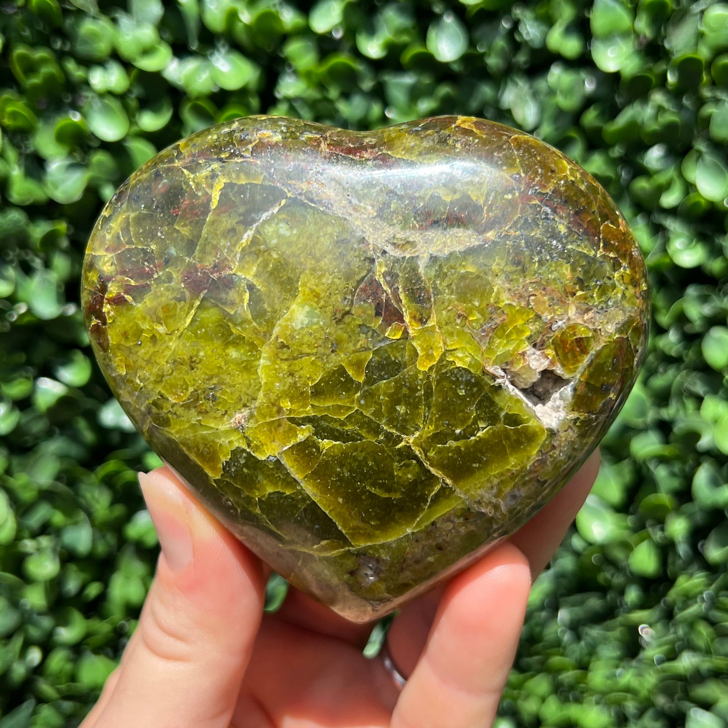 Kiwi Opal Heart