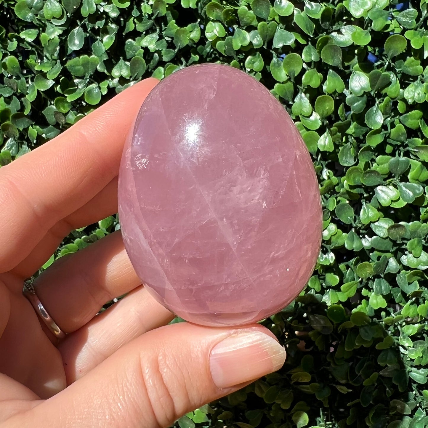 Rose Quartz Egg