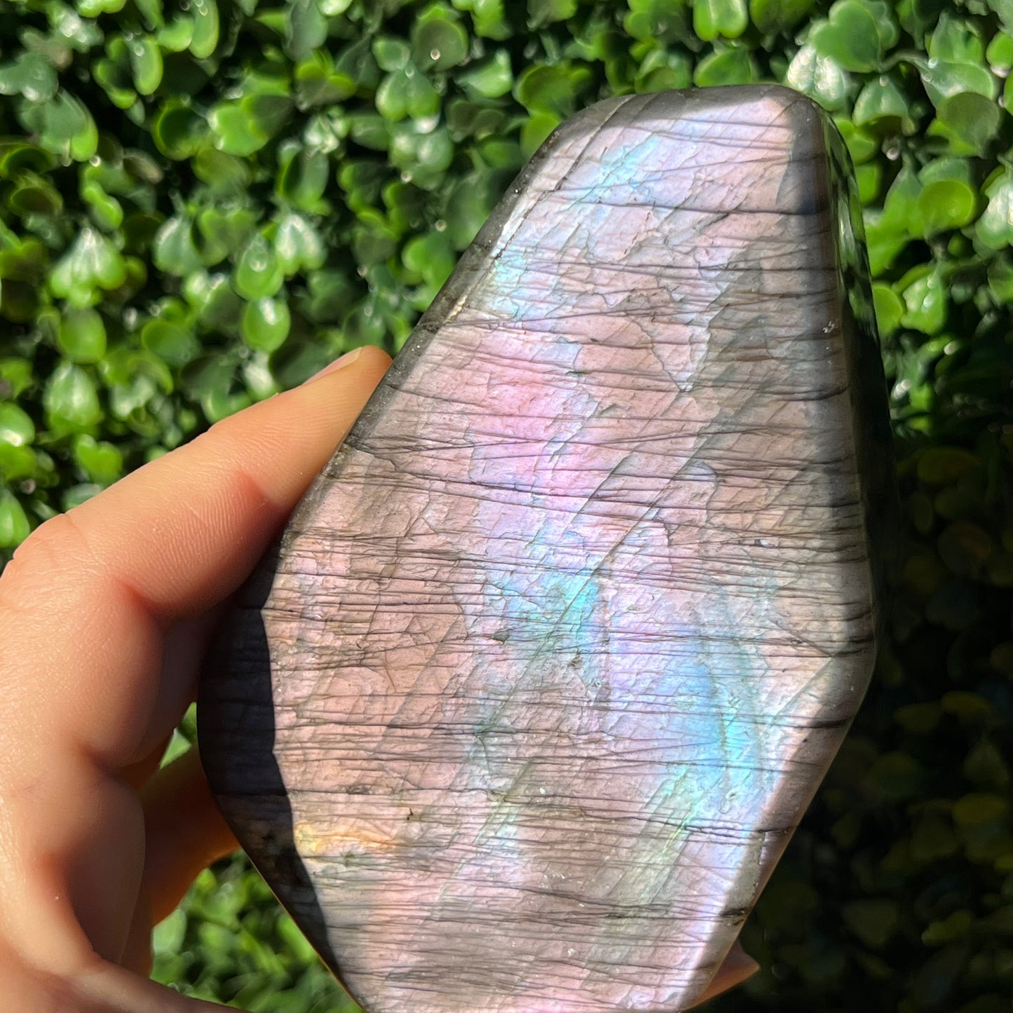 Labradorite Free Form
