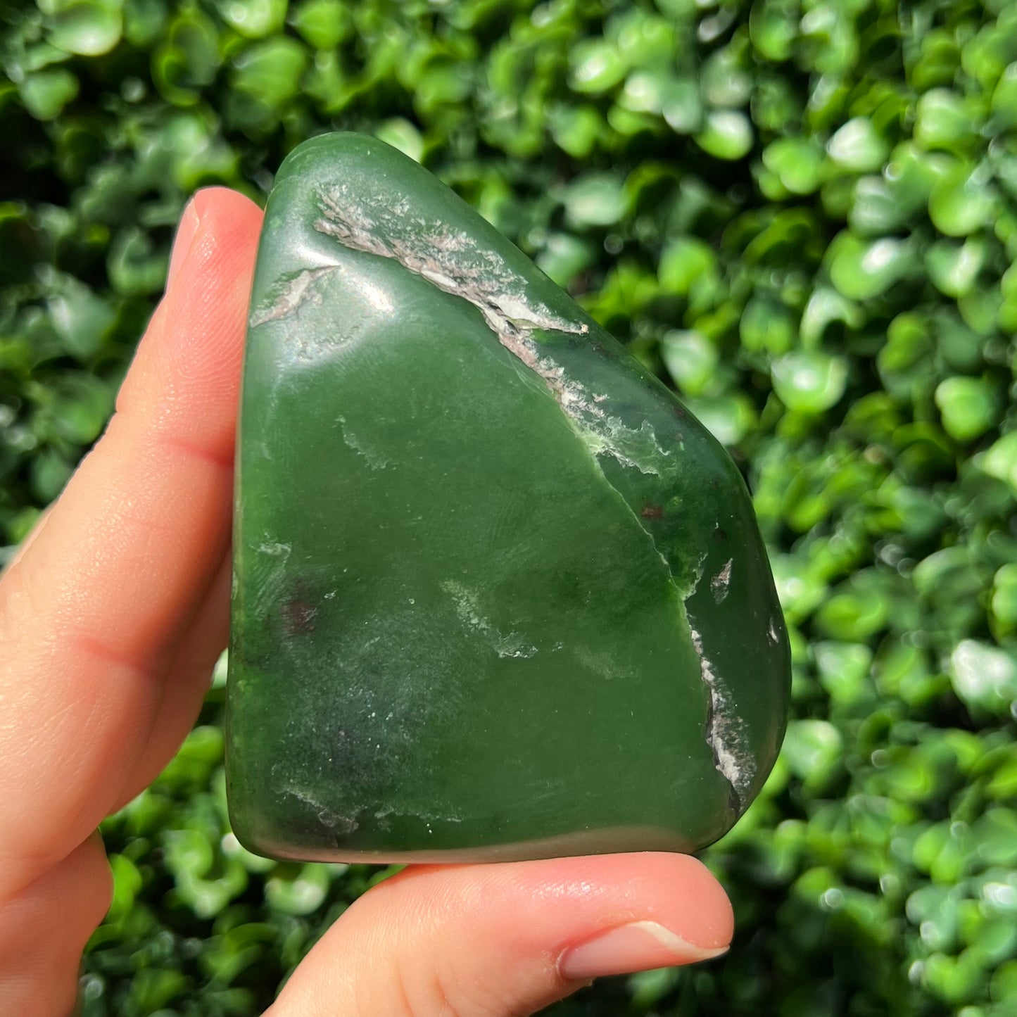 Jade Palm Stone