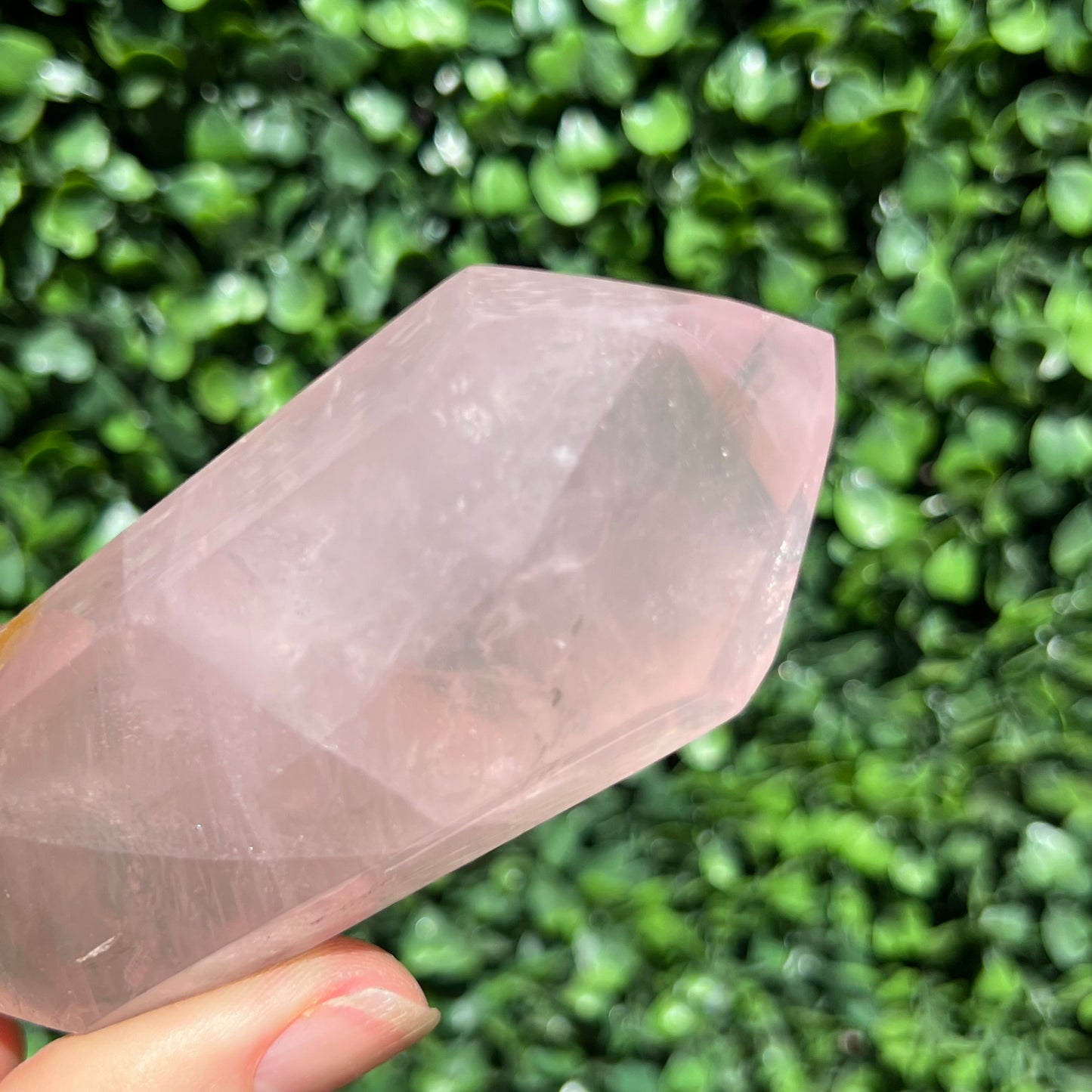 Rose Quartz DT Point