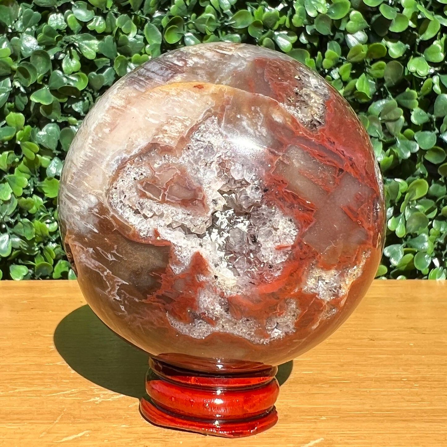 Petrified Wood Sphere