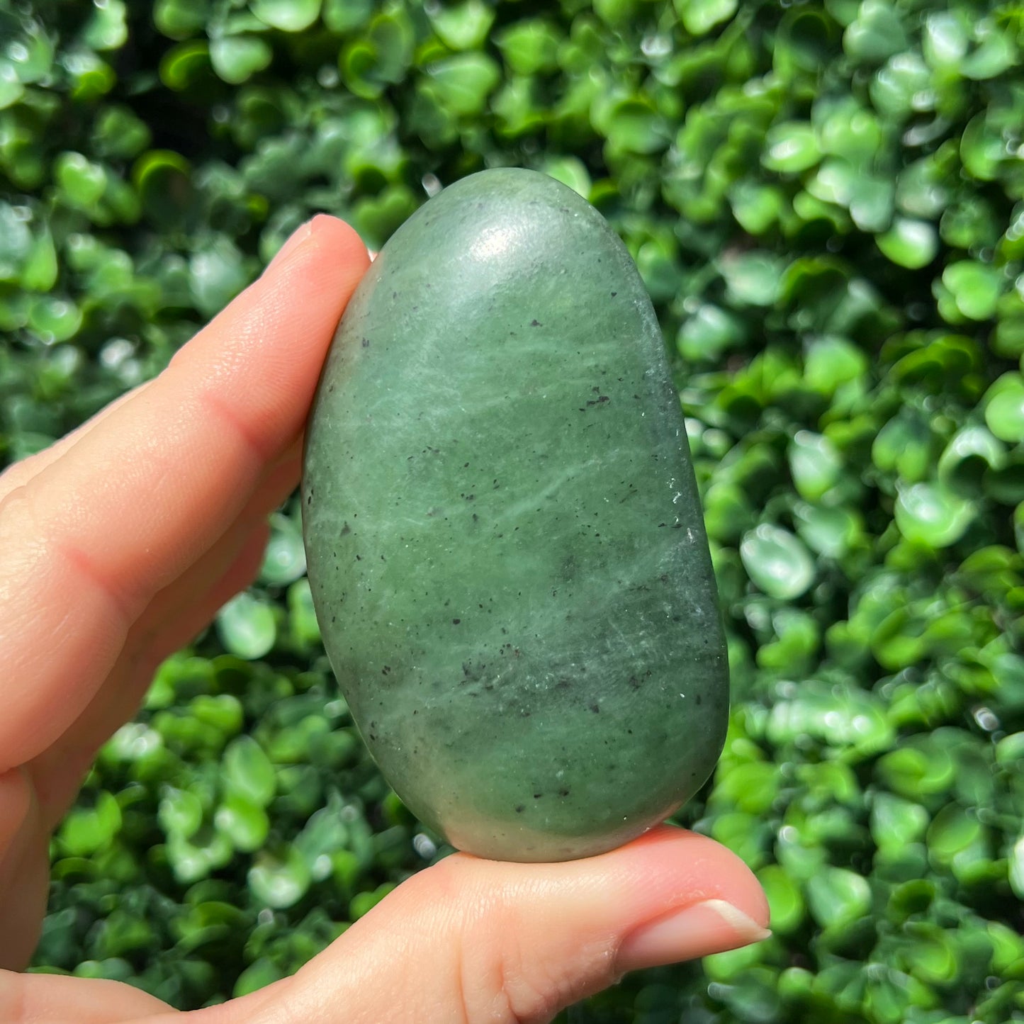 Jade Palm Stone