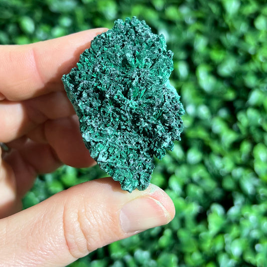 Fibrous Malachite Specimen