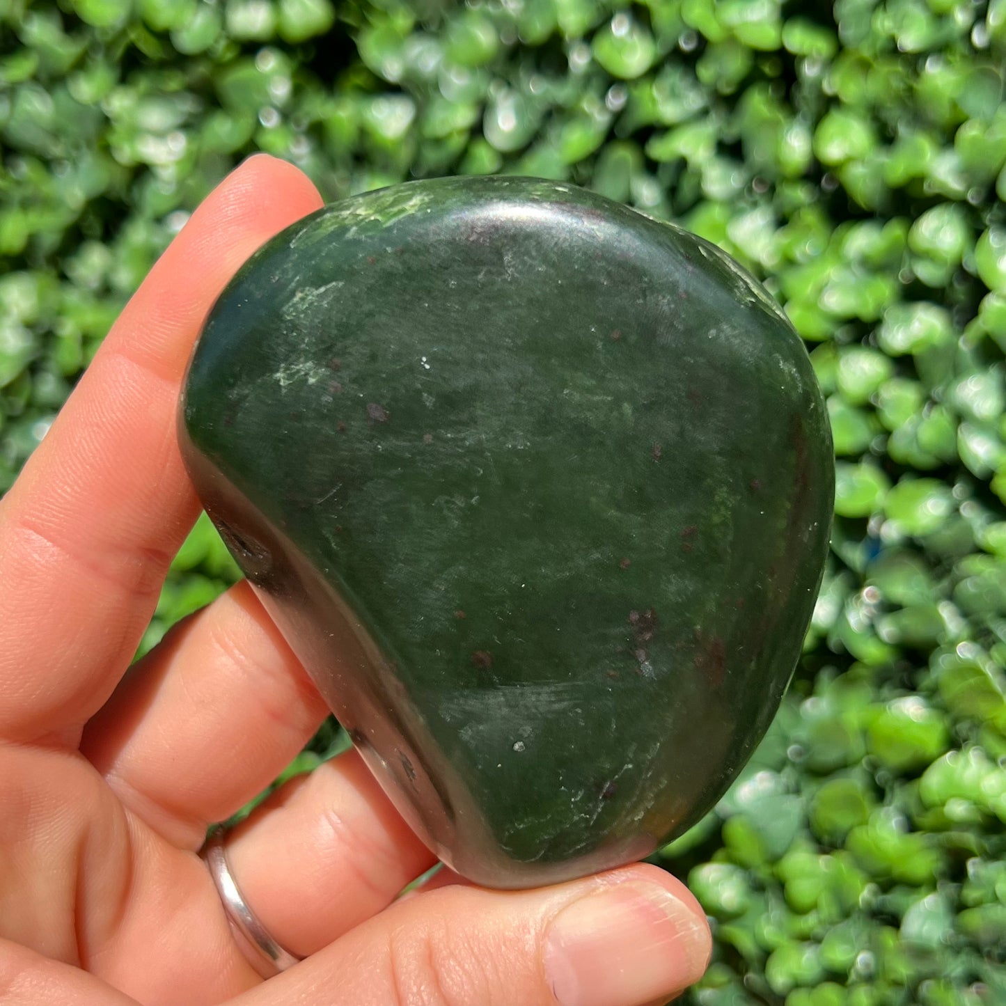Jade Palm Stone
