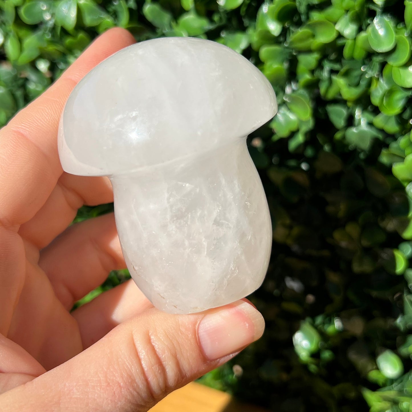 Snow Quartz Mushroom