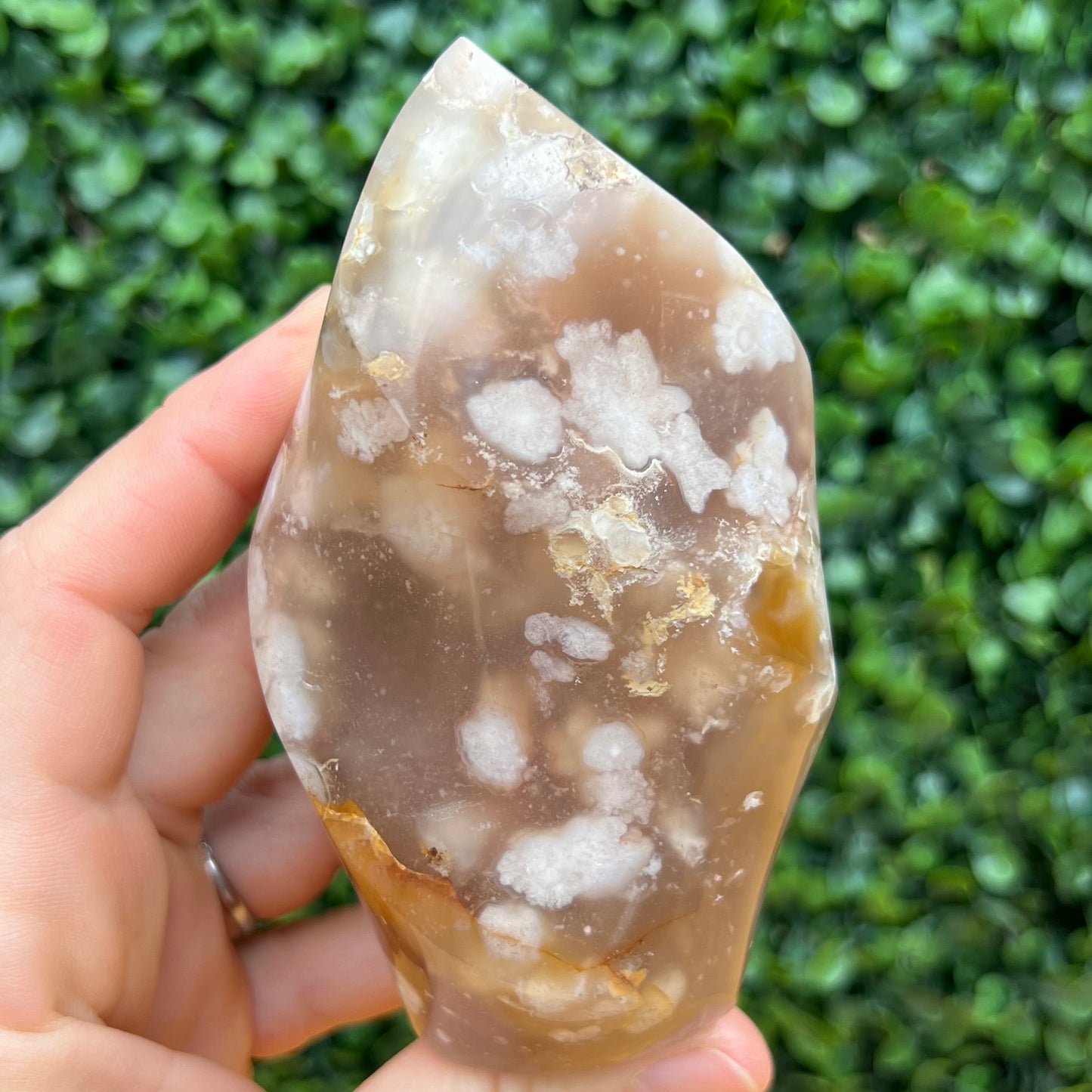Flower Agate Flame