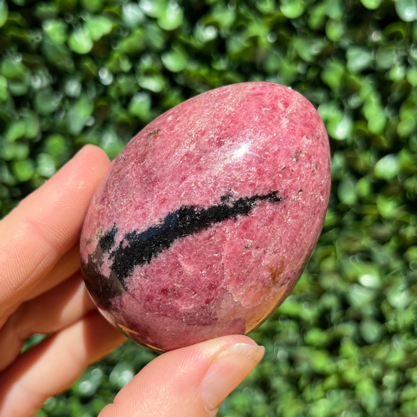 Rhodonite Egg
