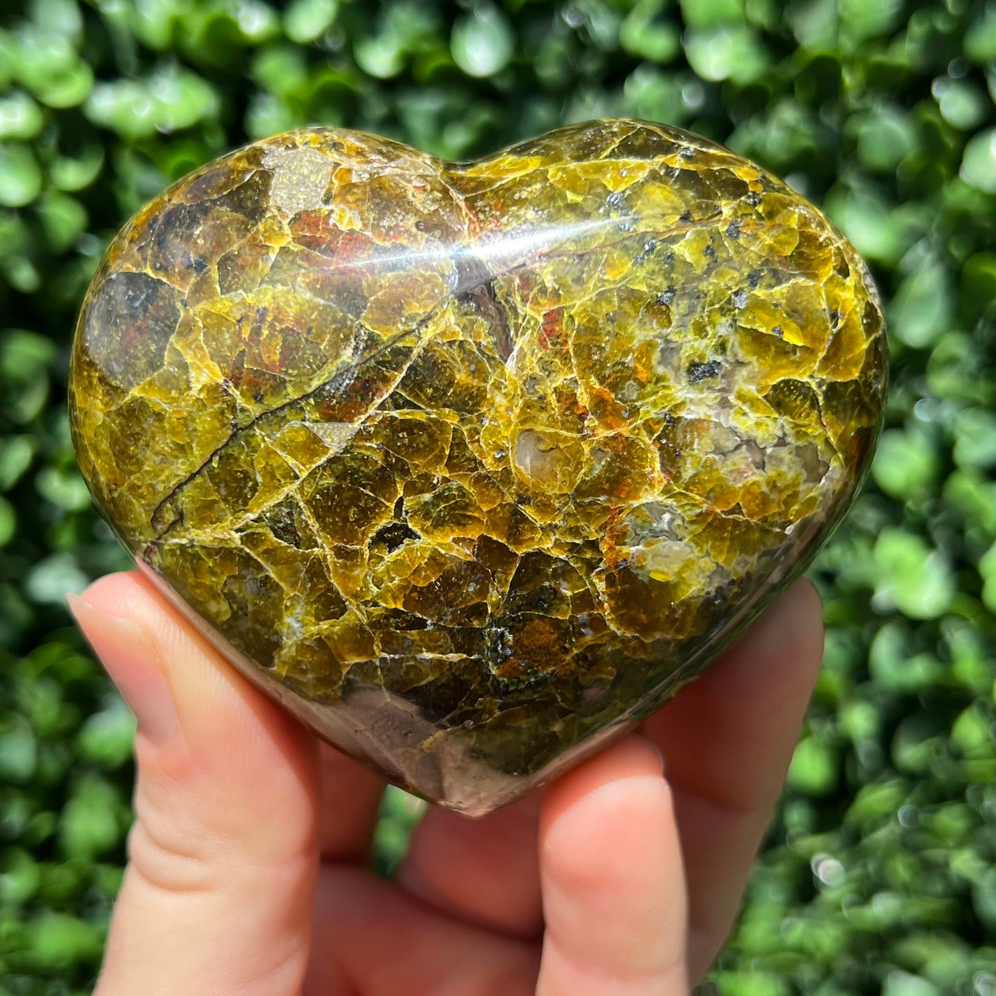 Kiwi Opal Heart