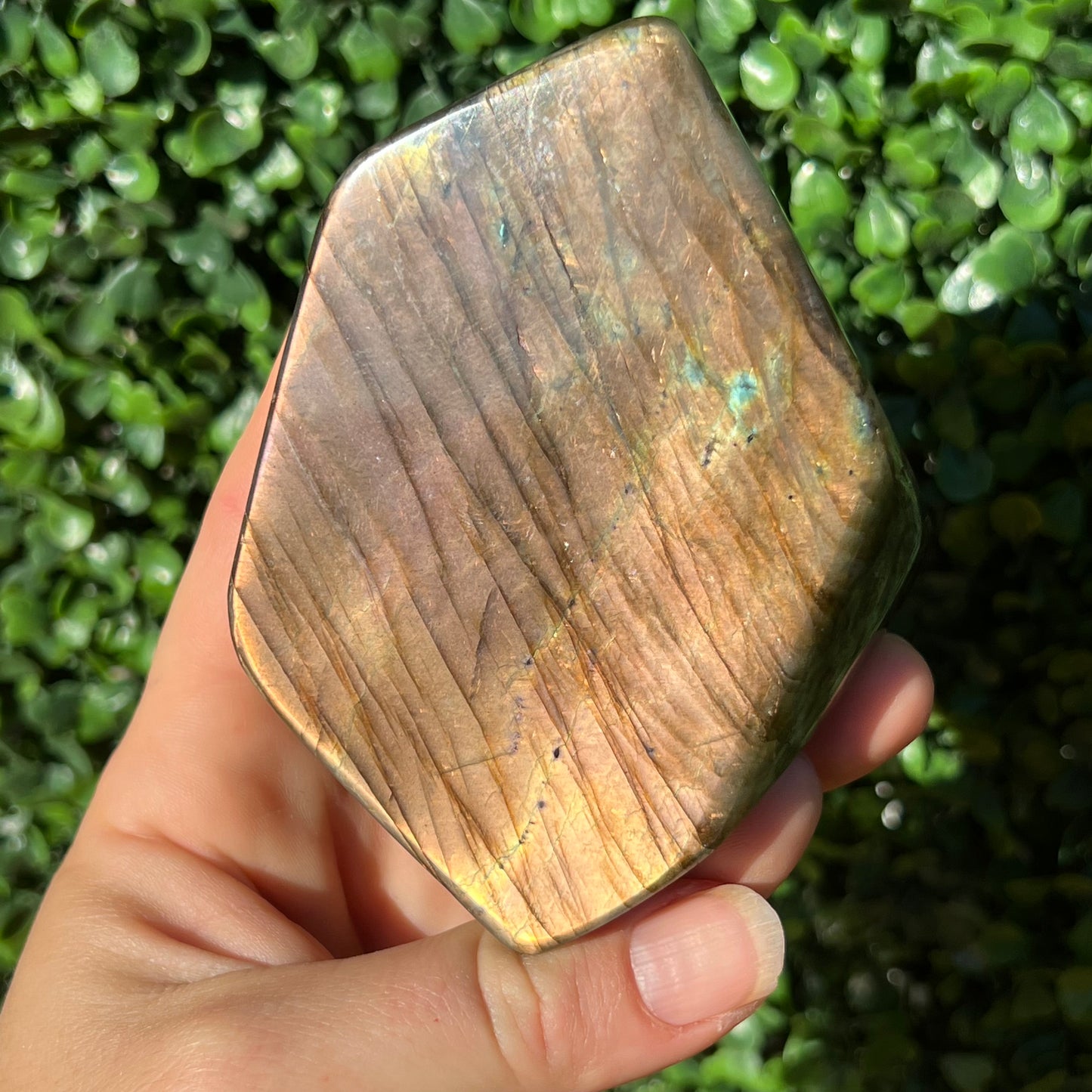Labradorite Free Form