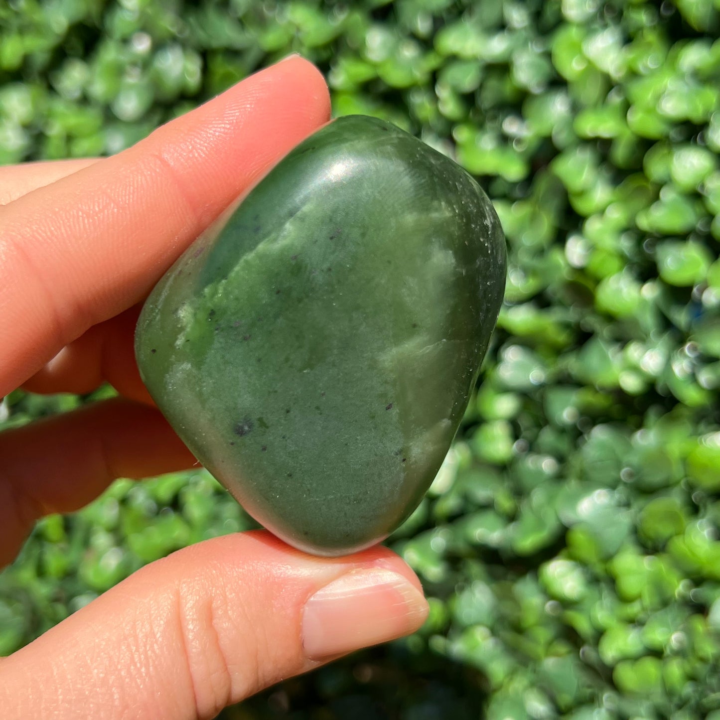 Jade Palm Stone