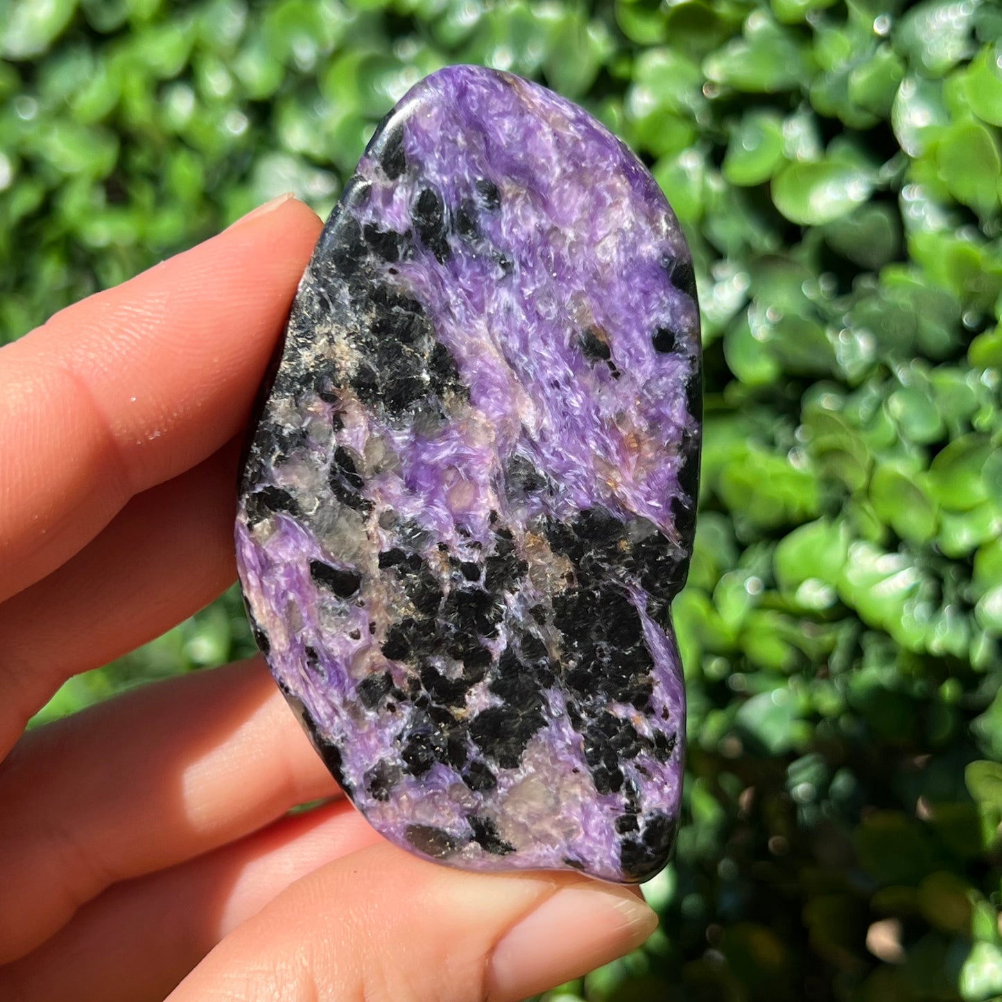 Charoite Palm Stone’s