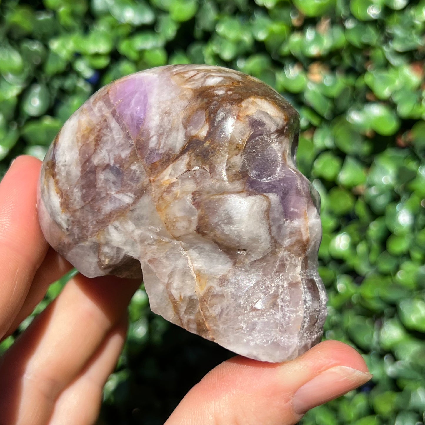 Amethyst Skull