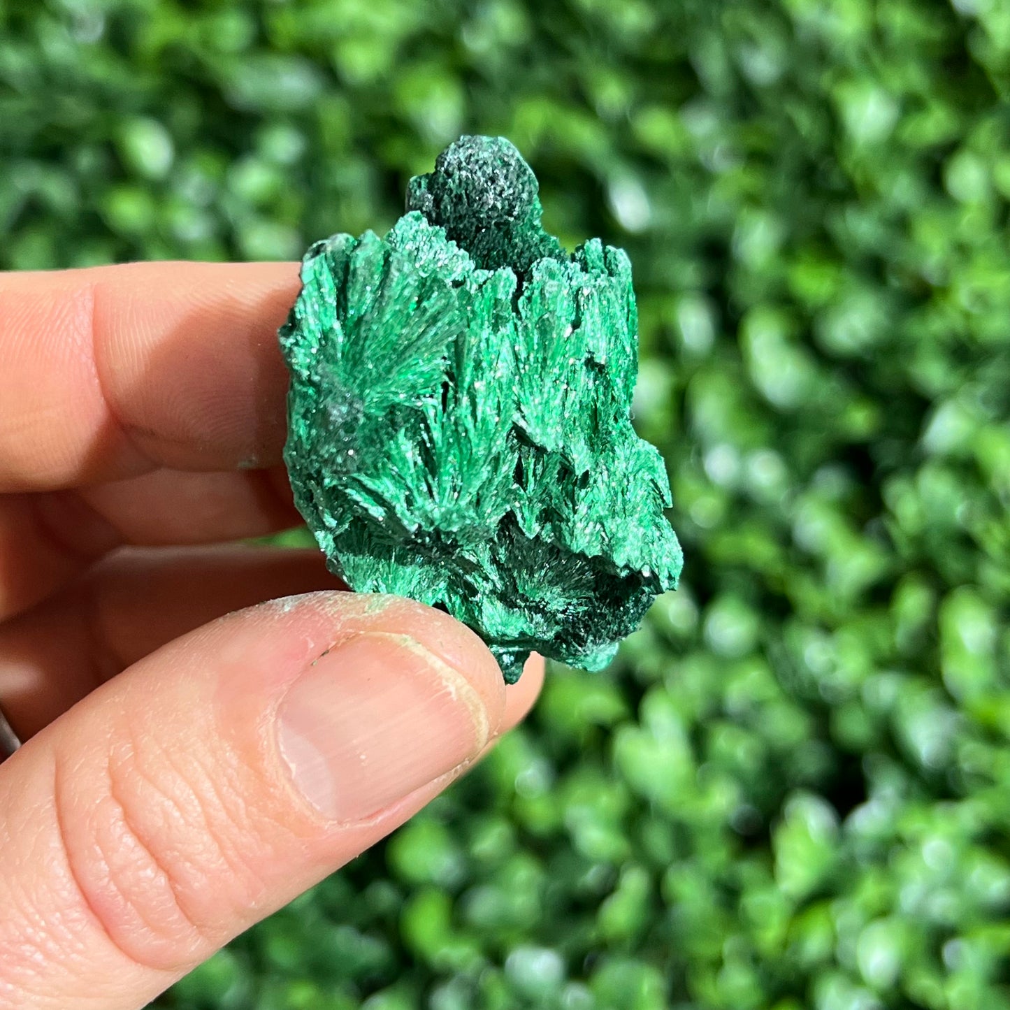 Fibrous Malachite Specimen