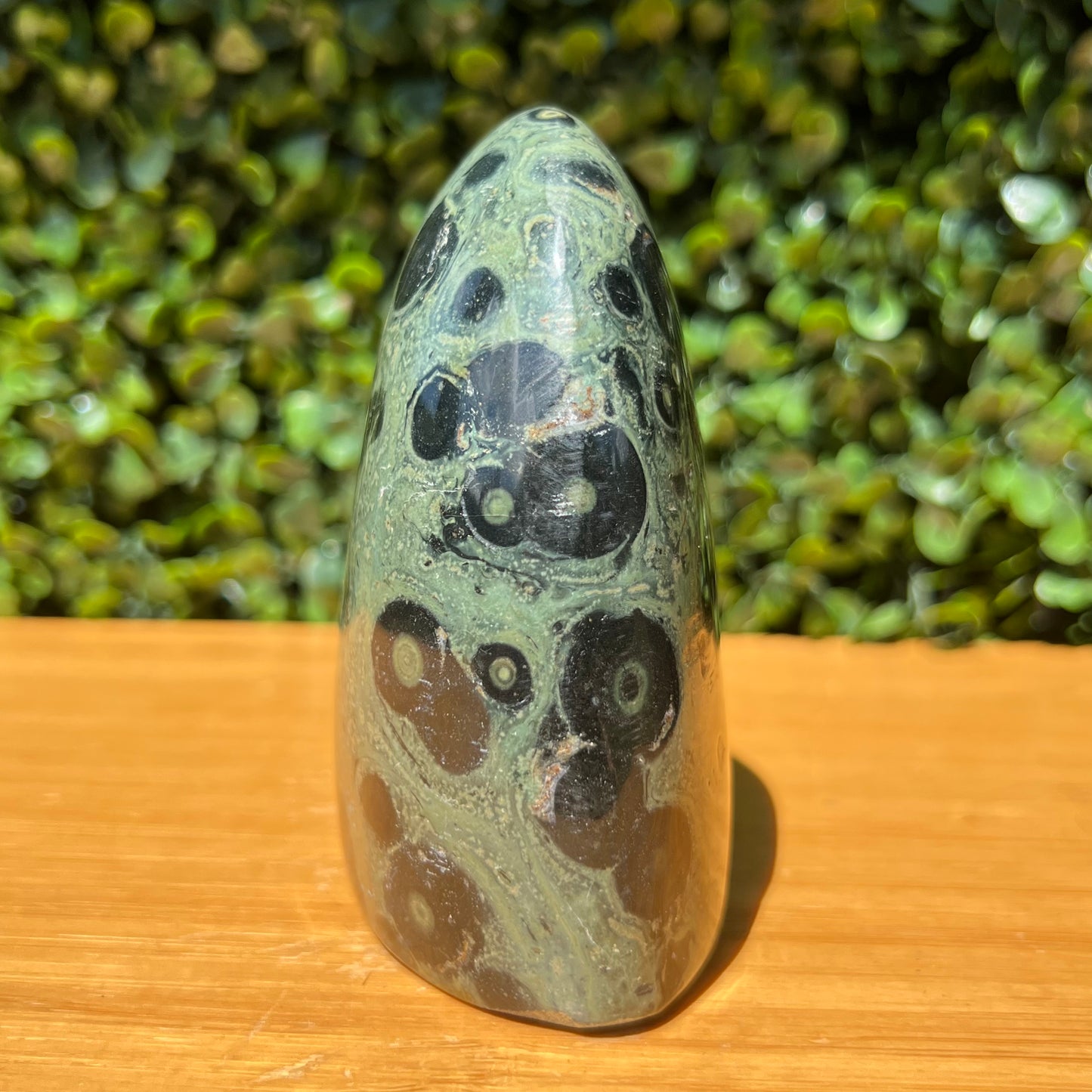 Kambaba Jasper Free Form