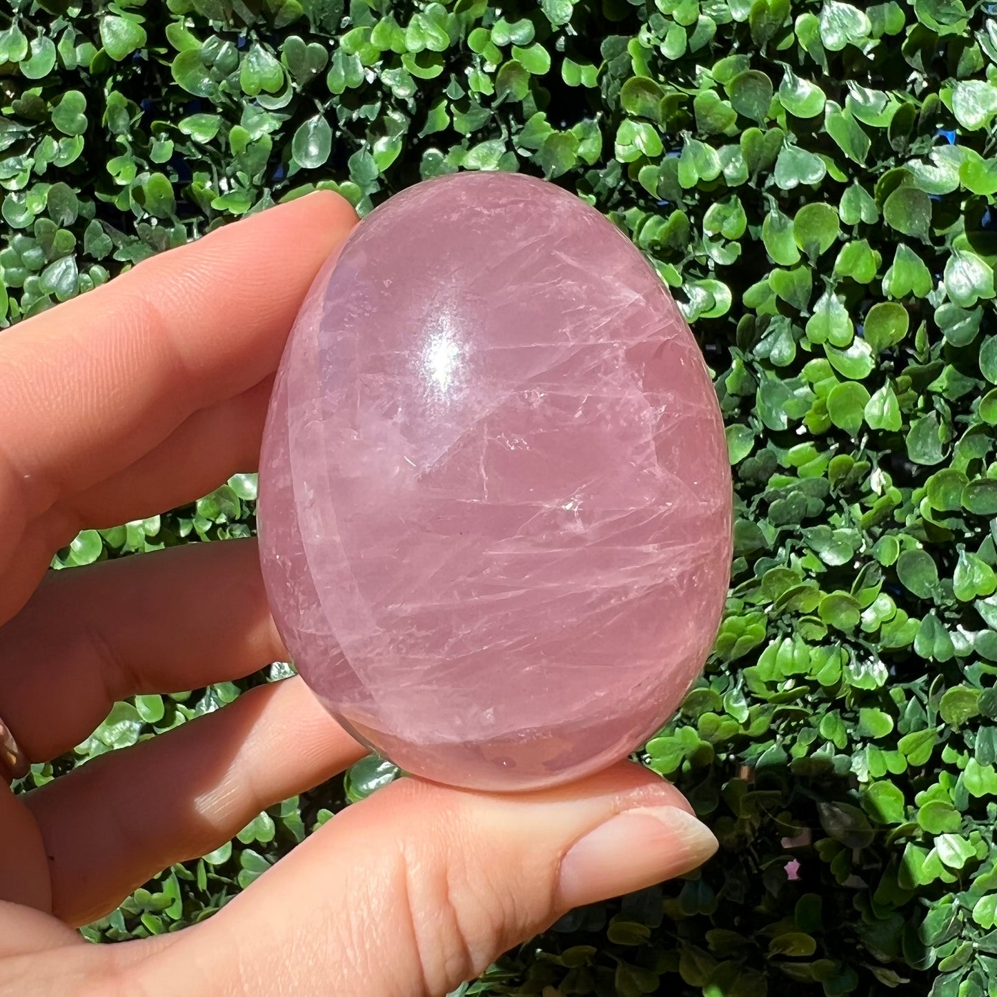 Rose Quartz Egg