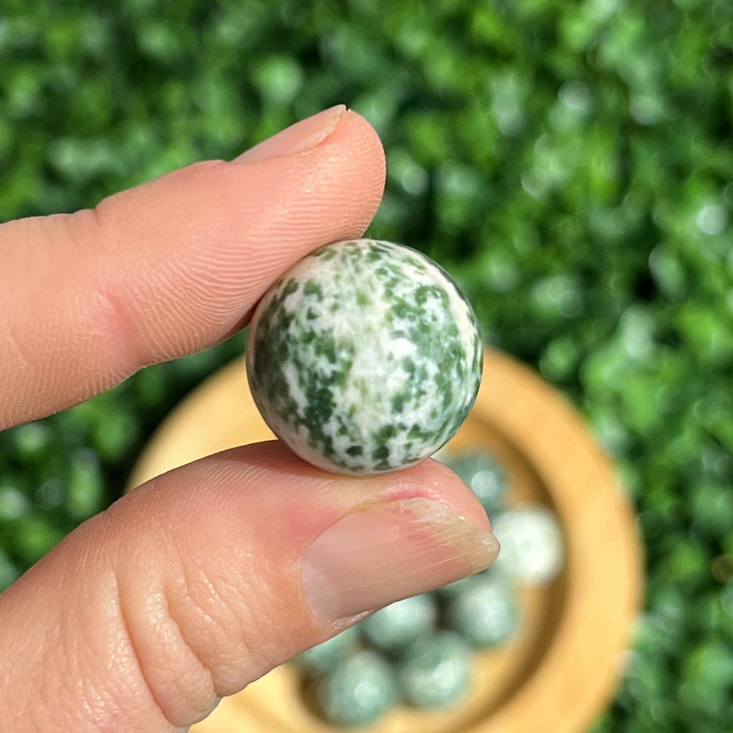 Tree Jasper Orb’s