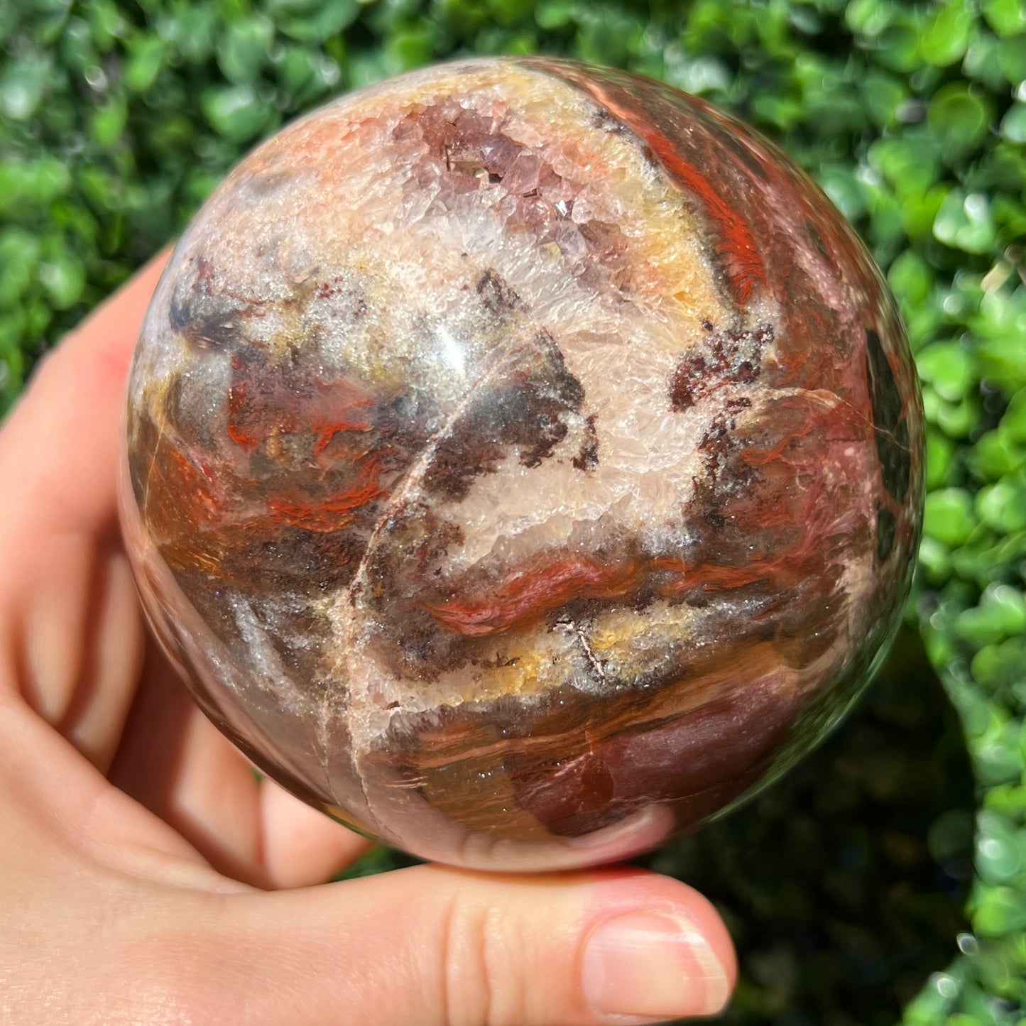Petrified Wood Sphere