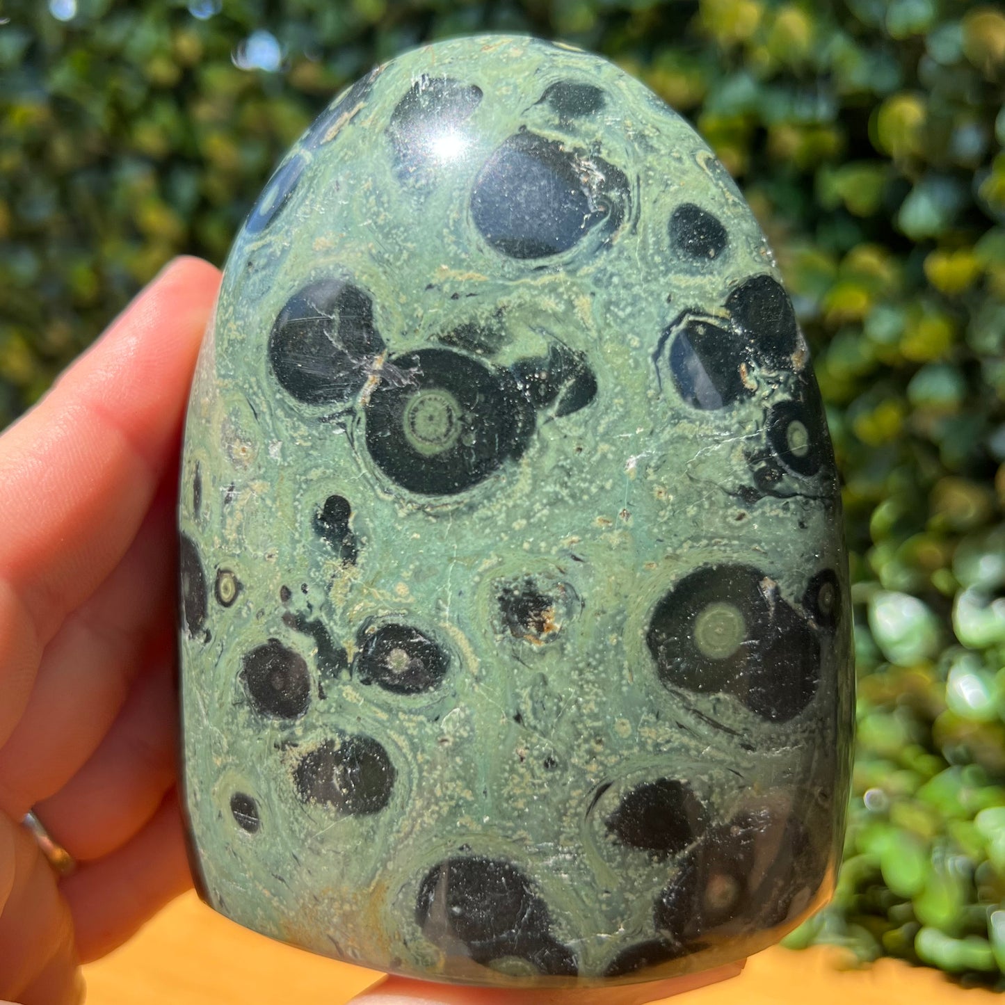 Kambaba Jasper Free Form