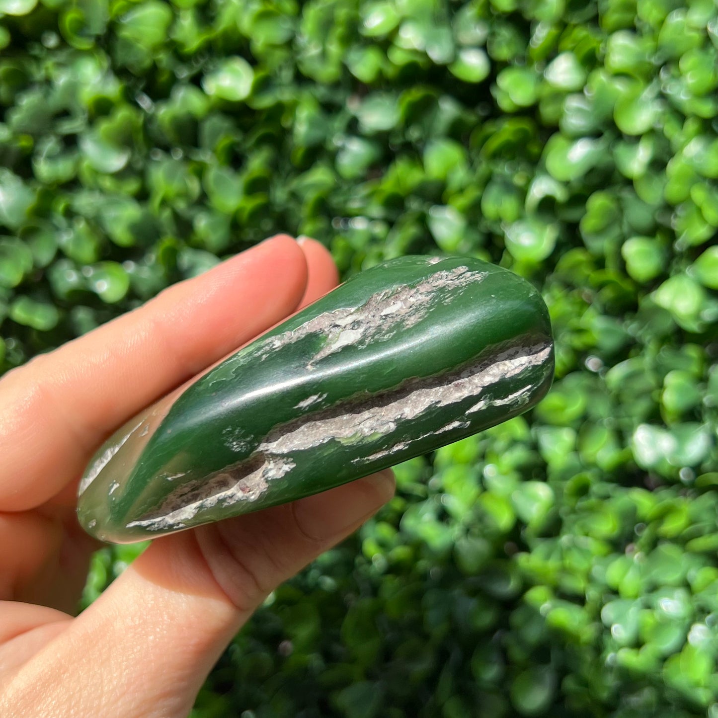 Jade Palm Stone