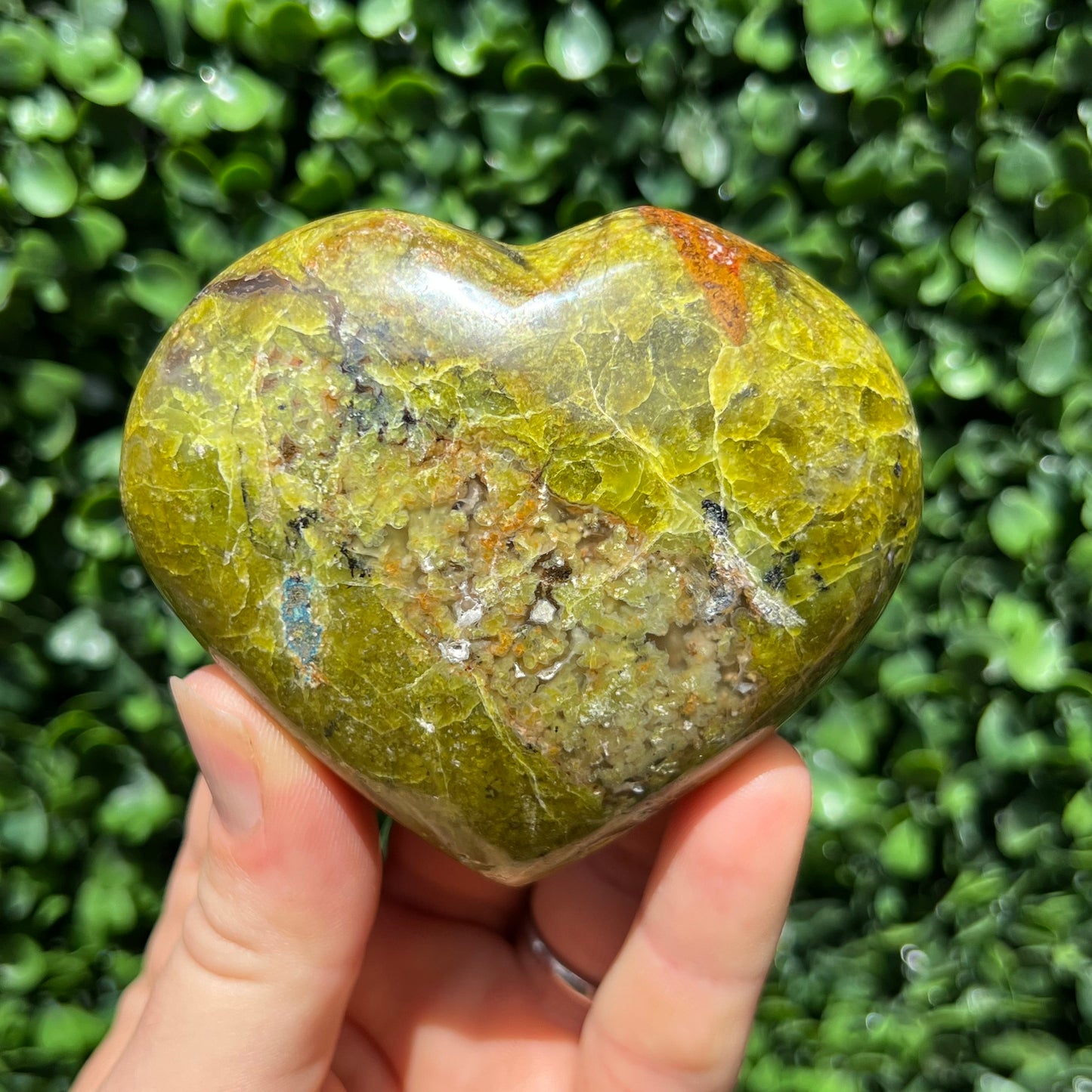 Kiwi Opal Heart