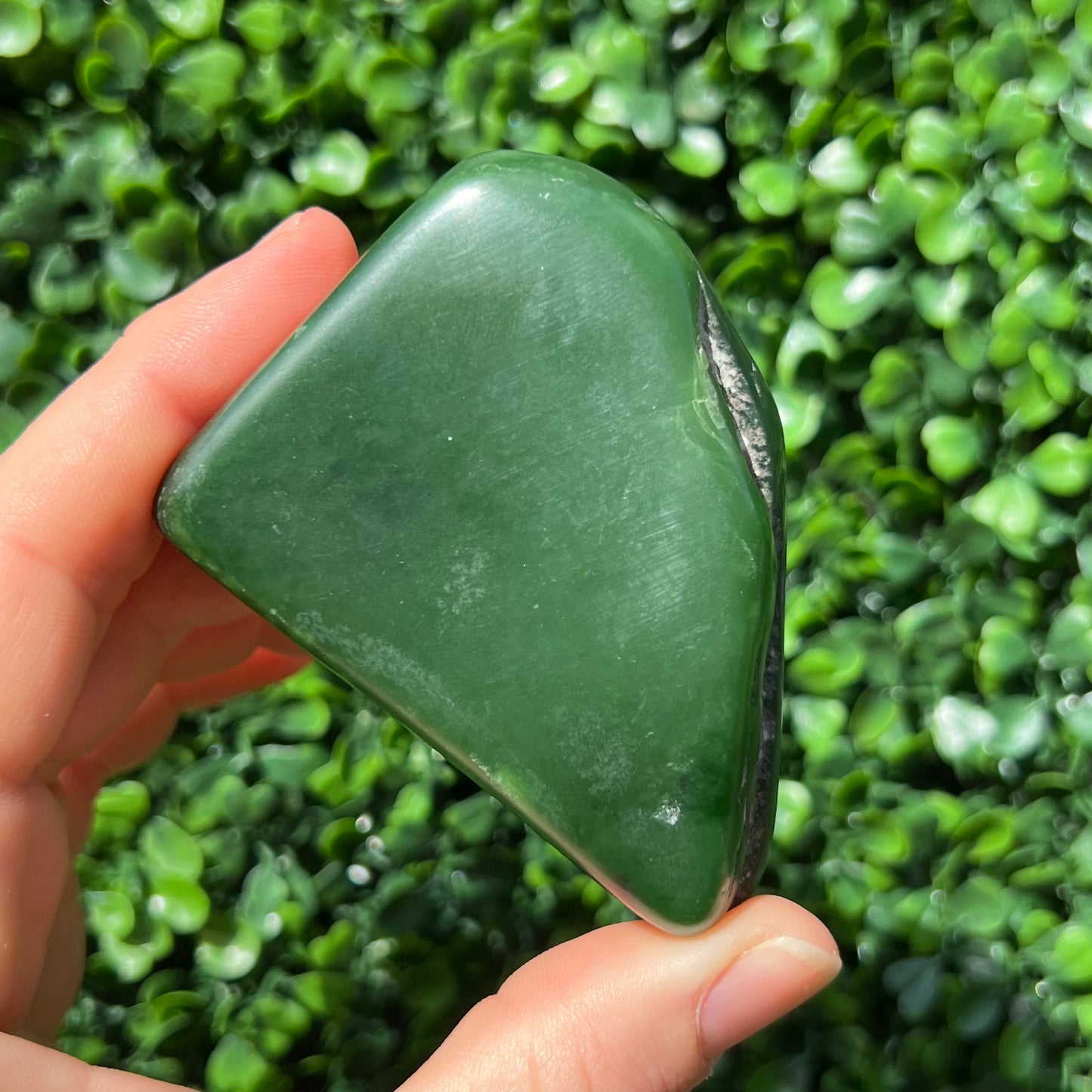 Jade Palm Stone