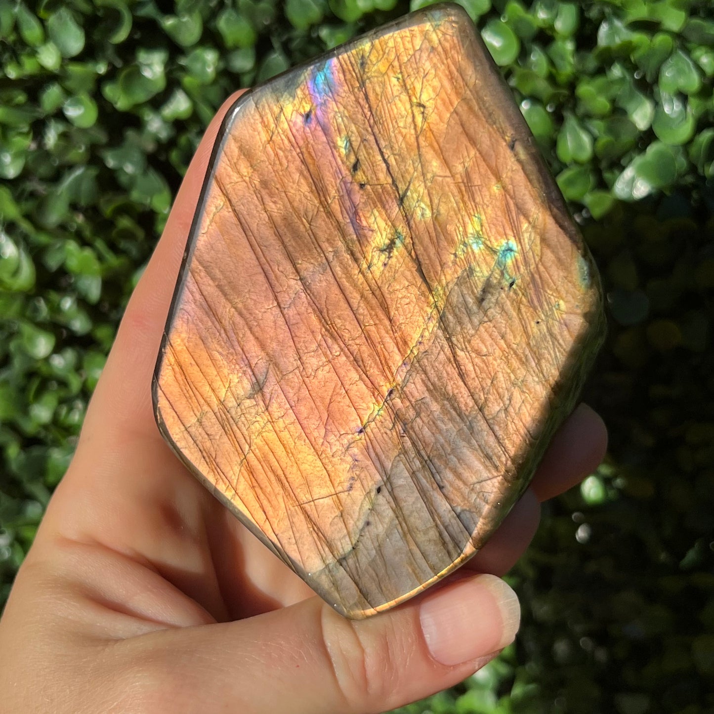 Labradorite Free Form