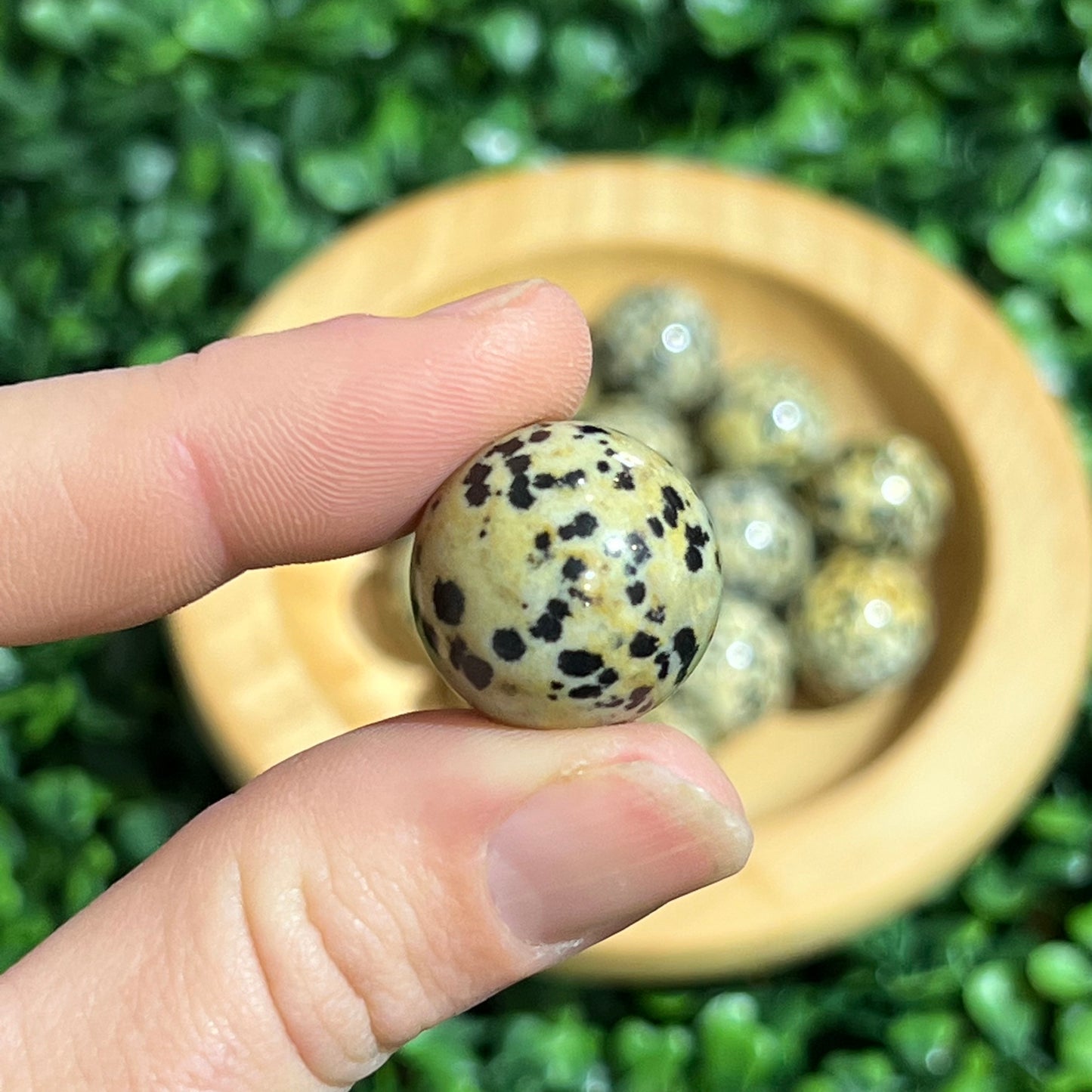 Dalmation Jasper Orb’s
