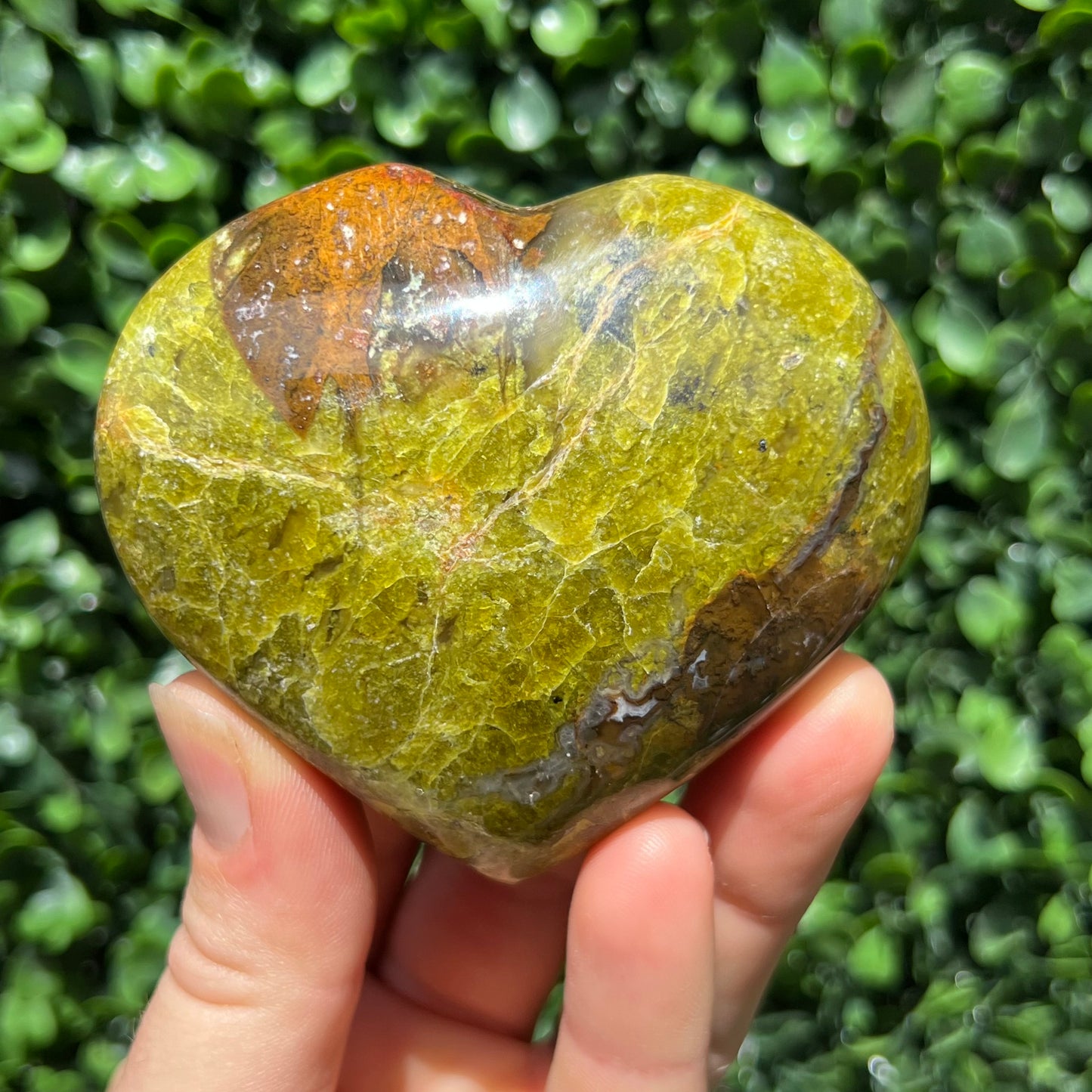 Kiwi Opal Heart