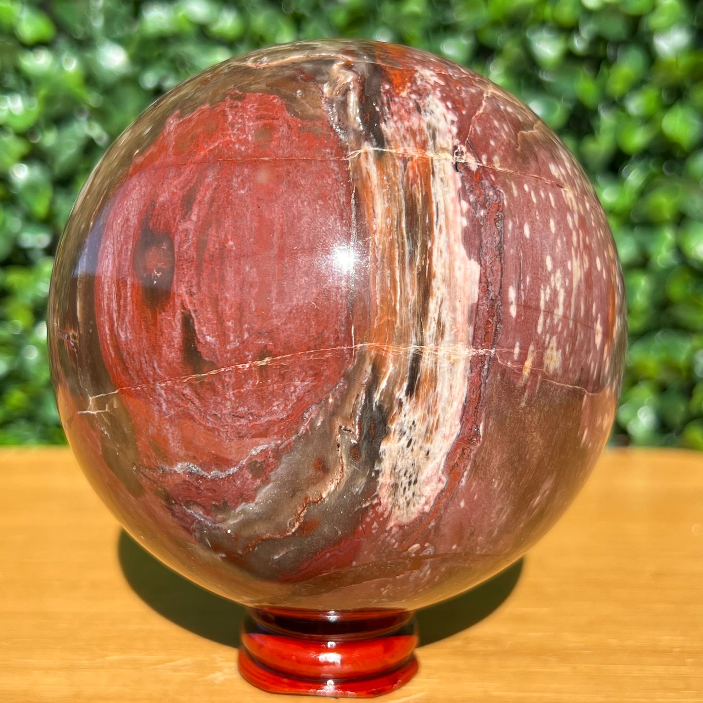 Petrified Wood Sphere