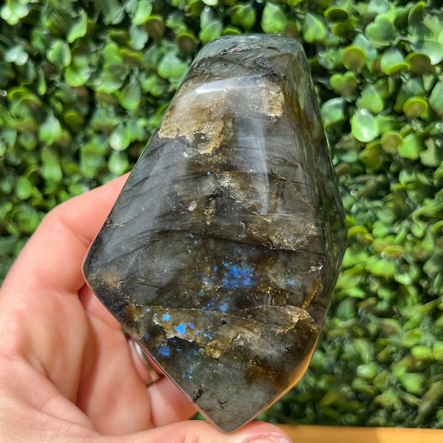 Labradorite Free Form