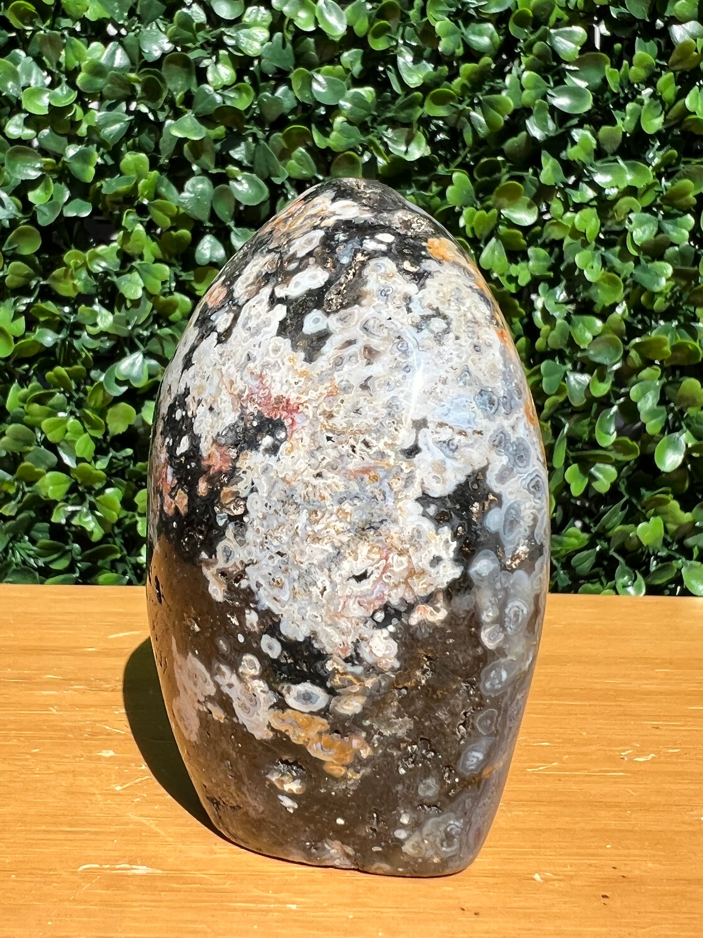 Ocean Jasper Free Form