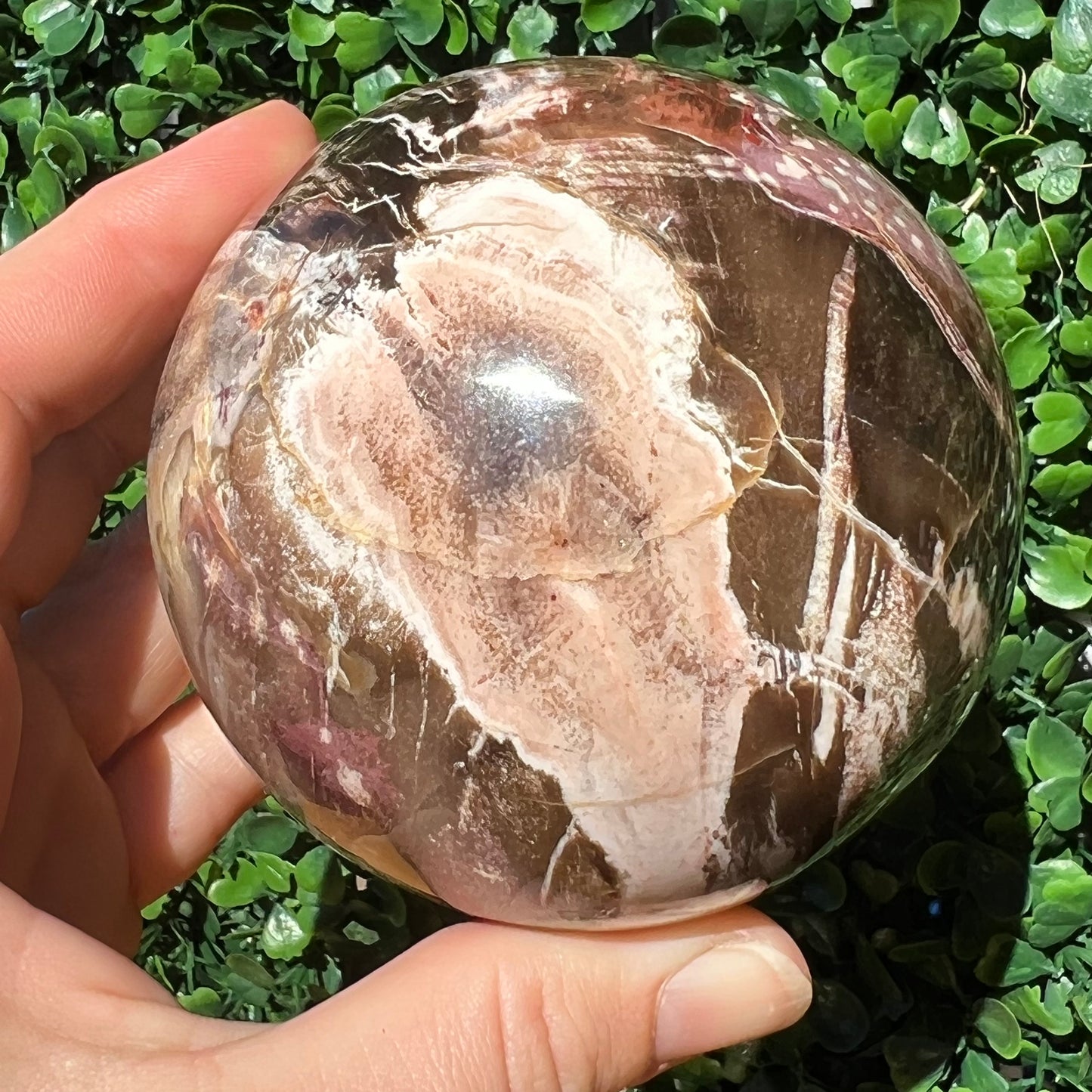Petrified Wood Sphere