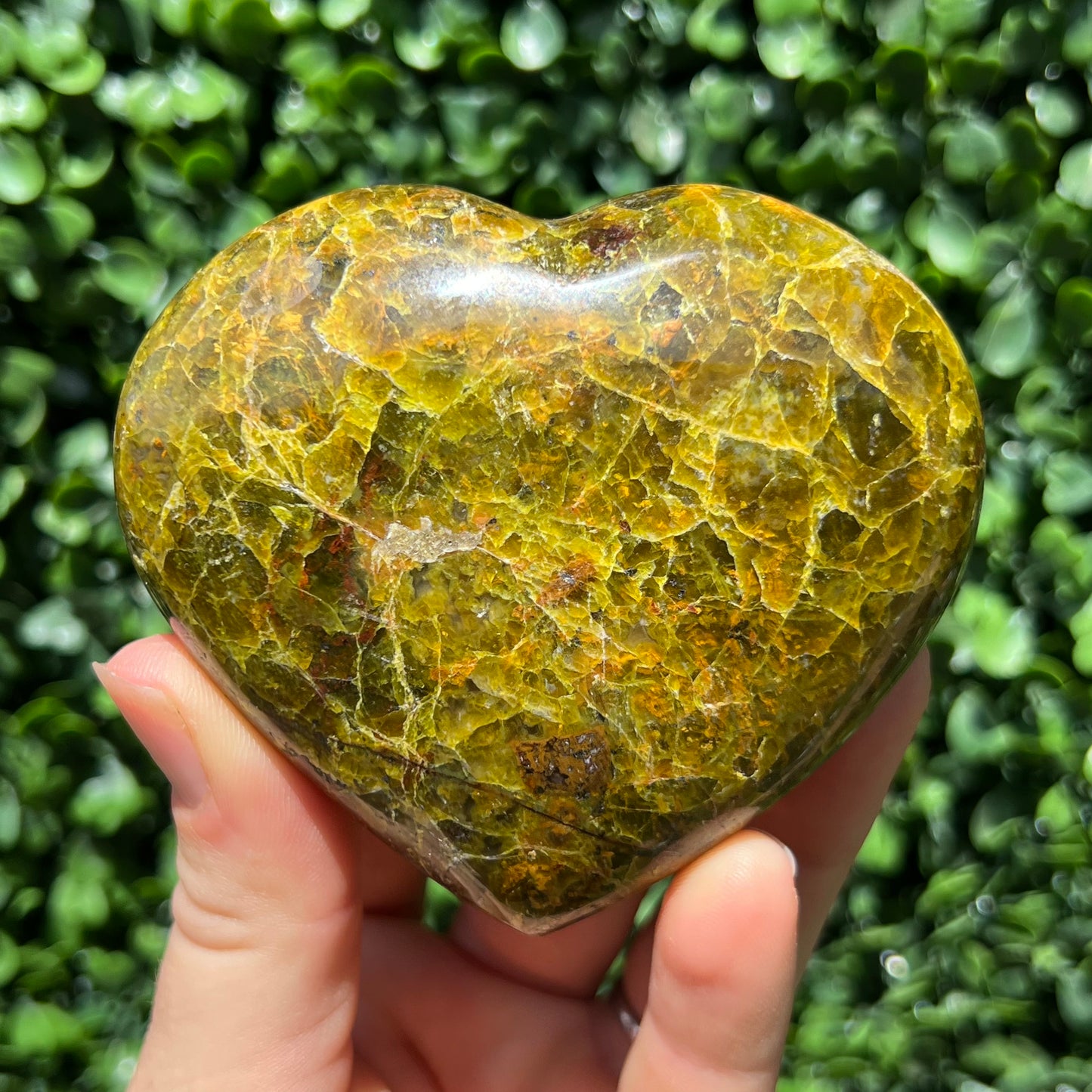 Kiwi Opal Heart