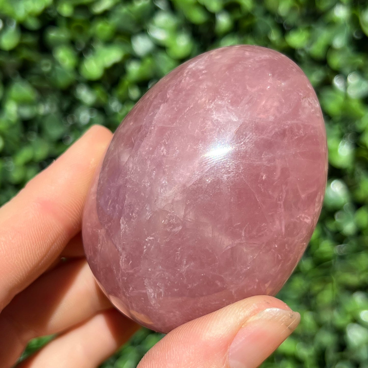 Rose Quartz Egg