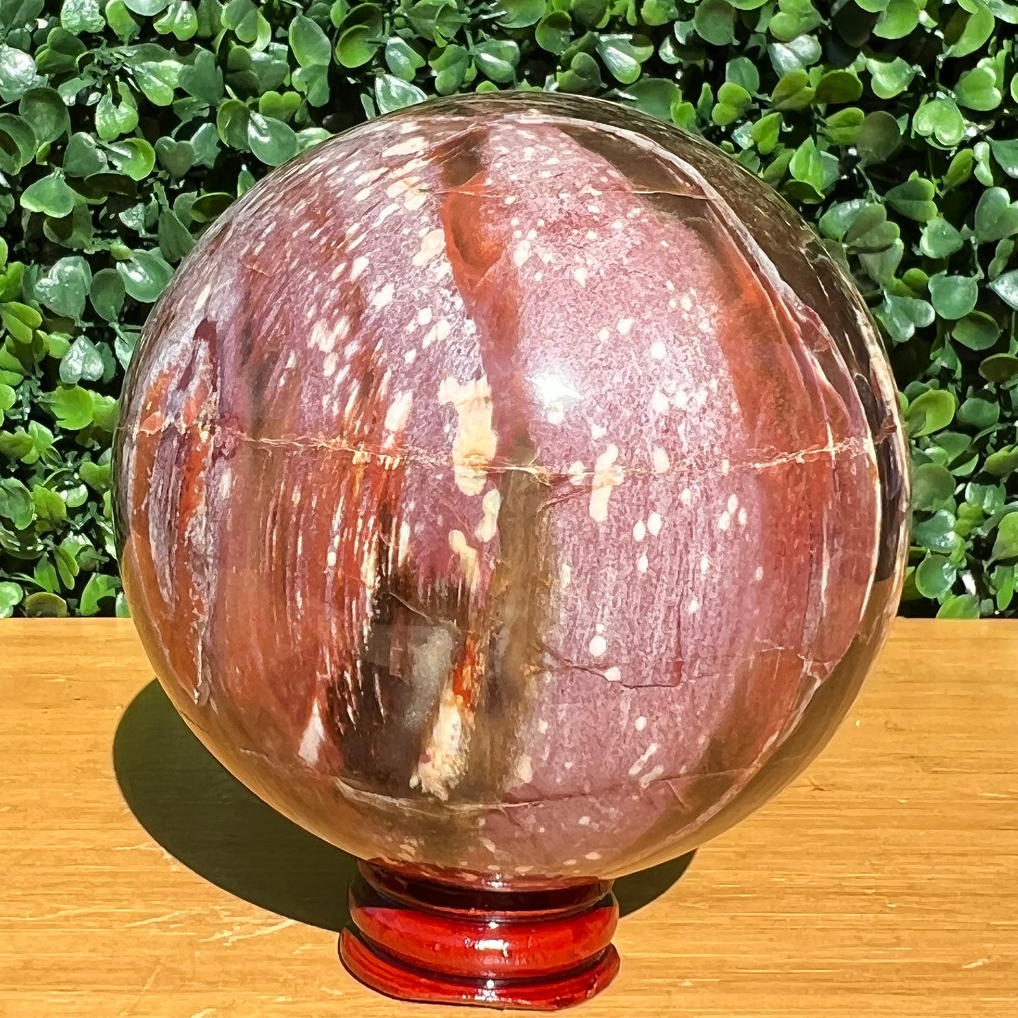 Petrified Wood Sphere