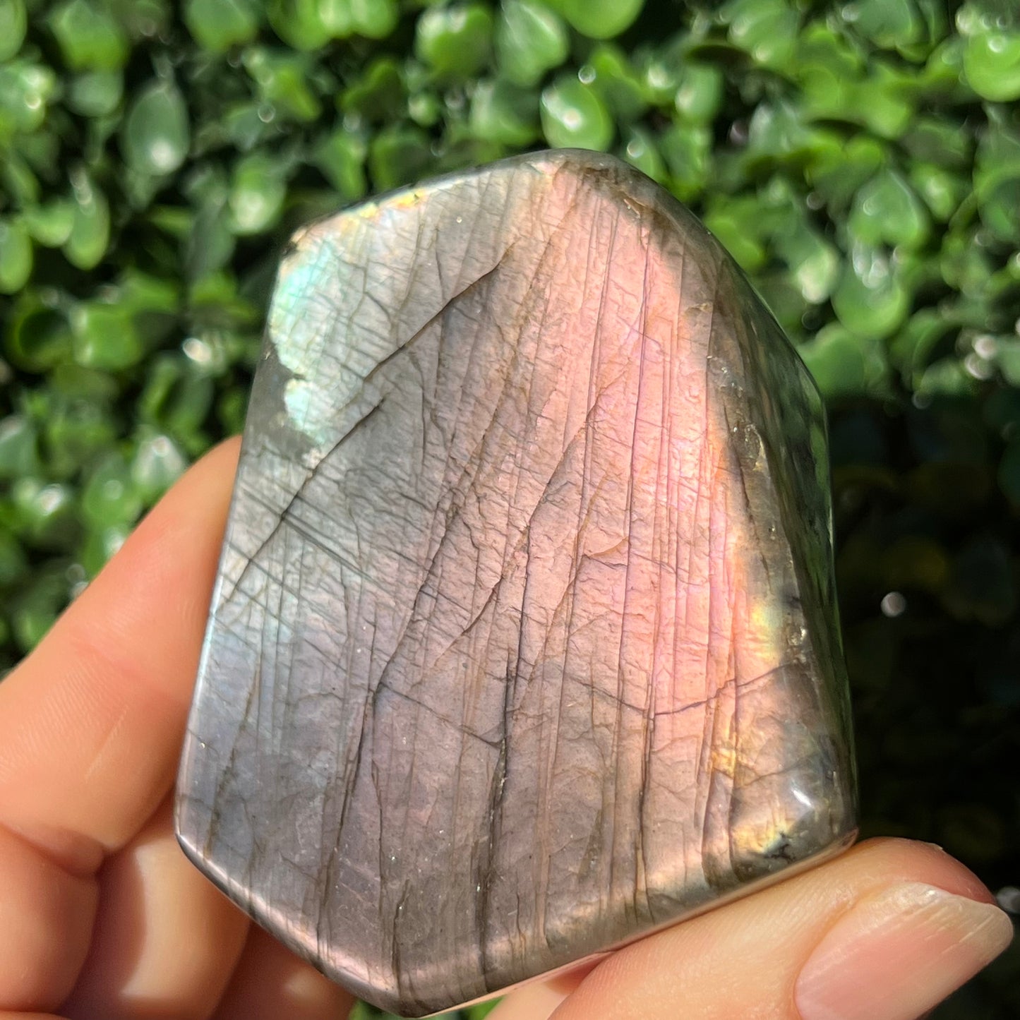 Labradorite Free Form