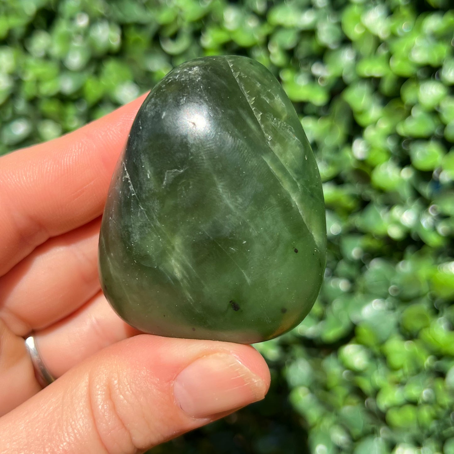 Jade Palm Stone