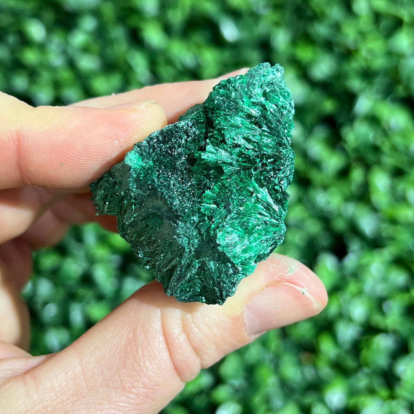 Fibrous Malachite Specimen