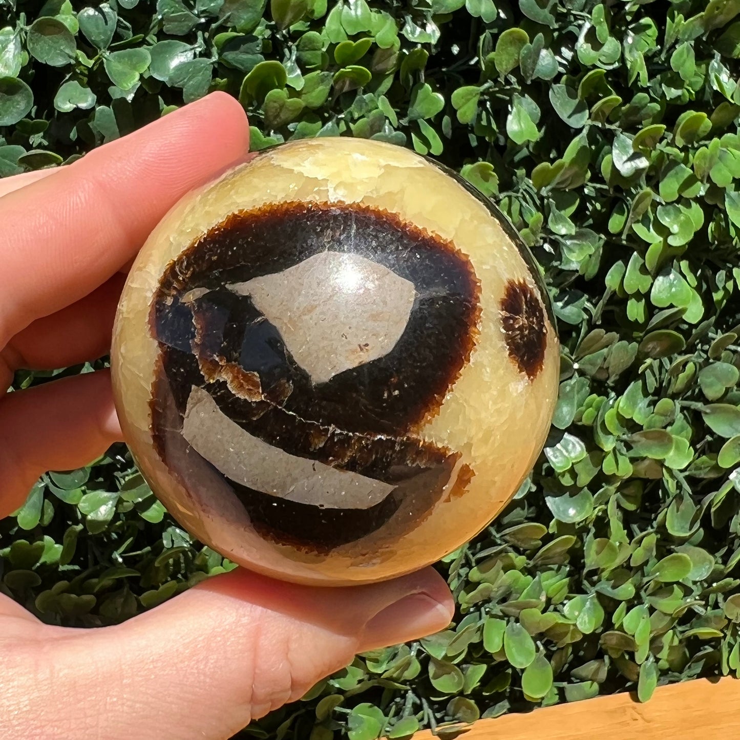 Septarian Yellow Calcite Sphere