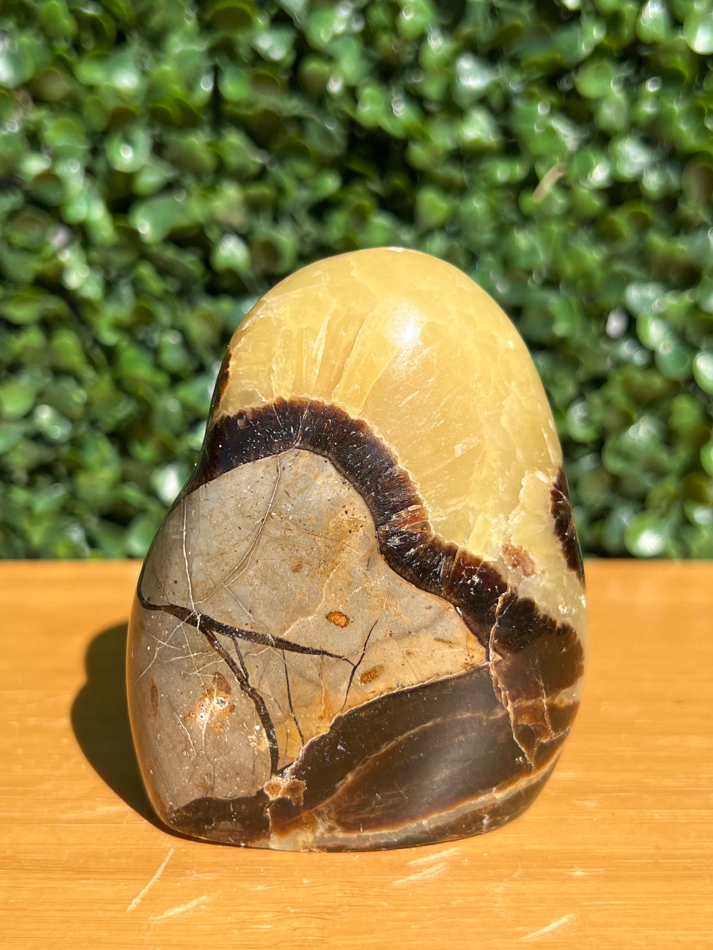 Septarian Yellow Calcite Free Form
